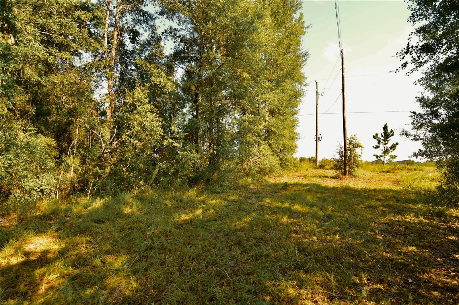 00 Sw 39th Ave Property Photo 9