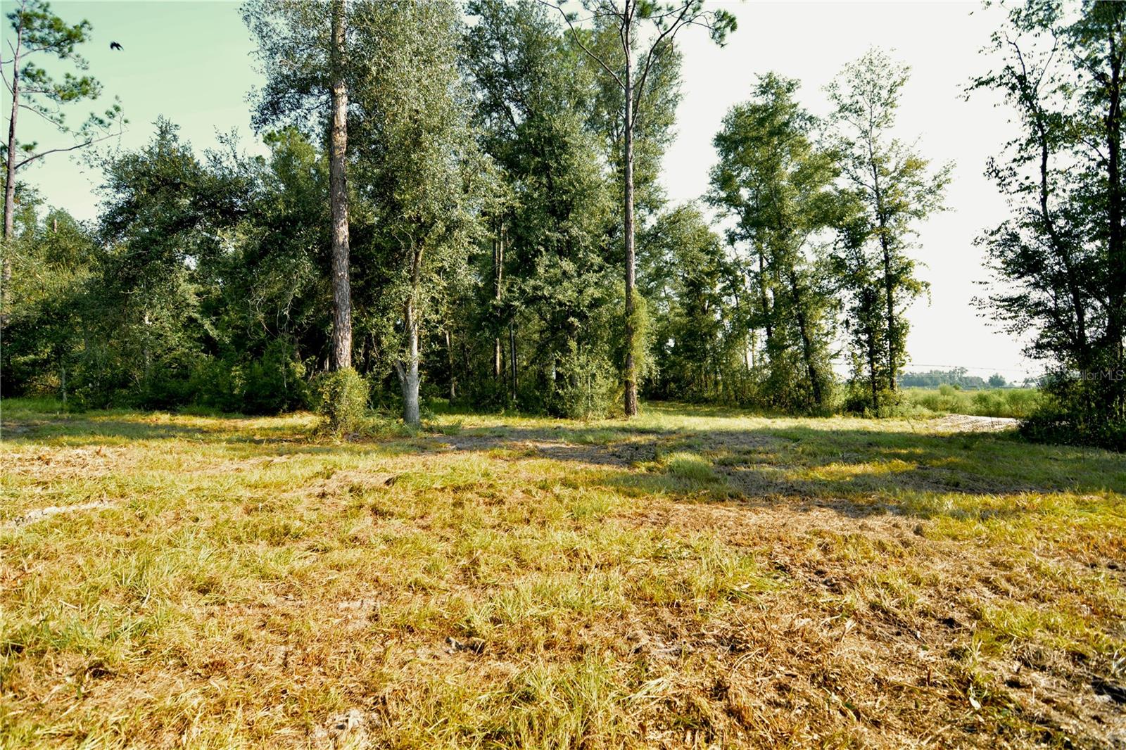 00 Sw 39th Ave Property Photo 10