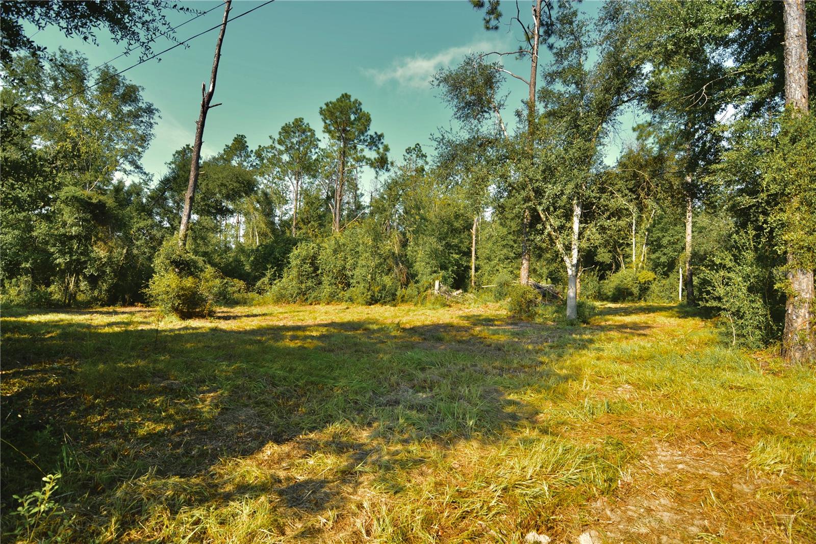 00 Sw 39th Ave Property Photo 11