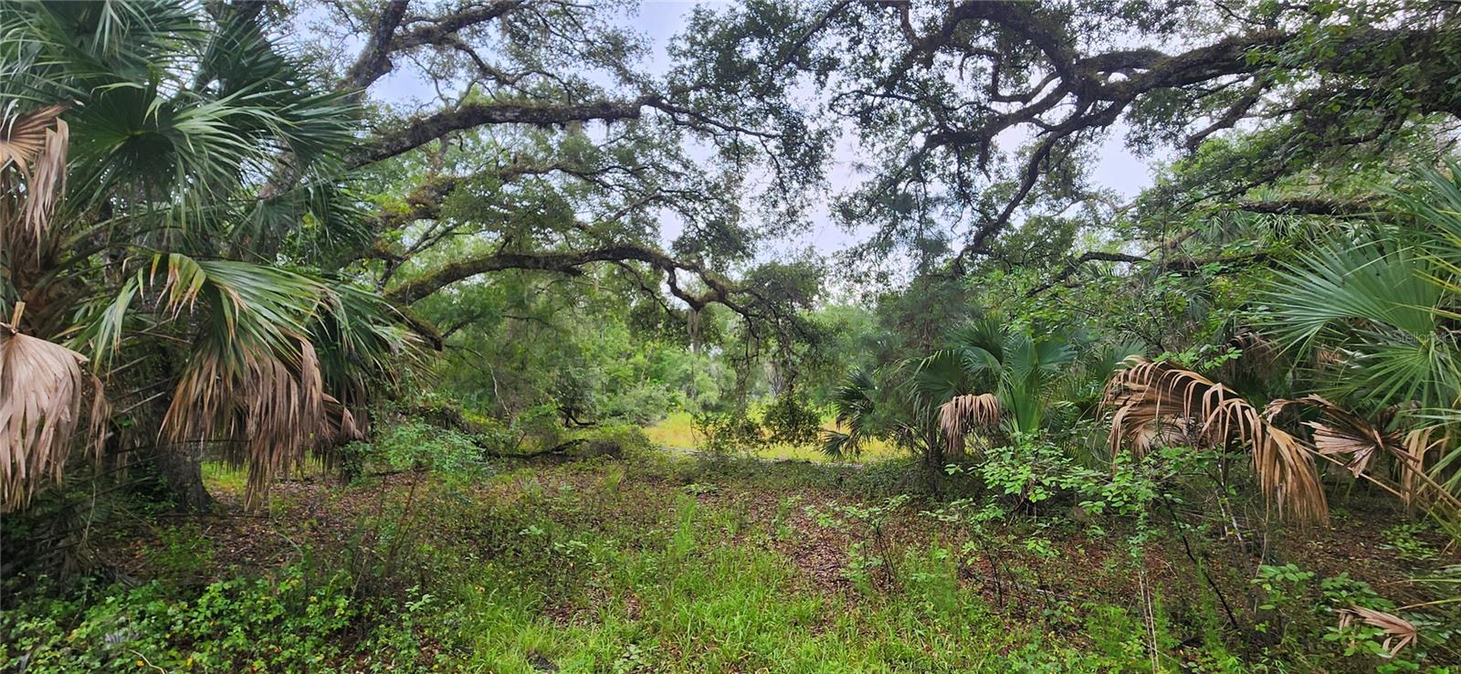 7096 E Channel Dr Property Photo 12