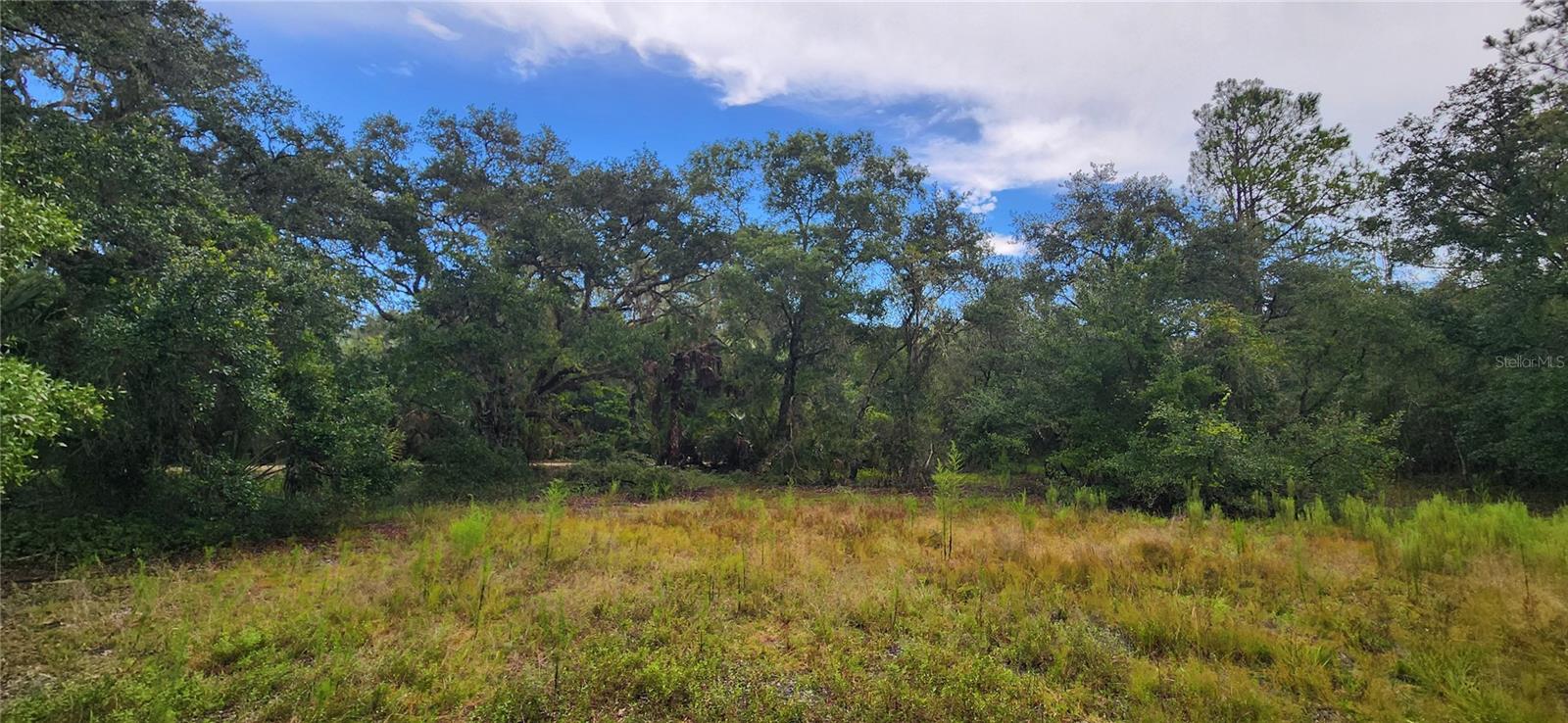 7096 E Channel Dr Property Photo 16