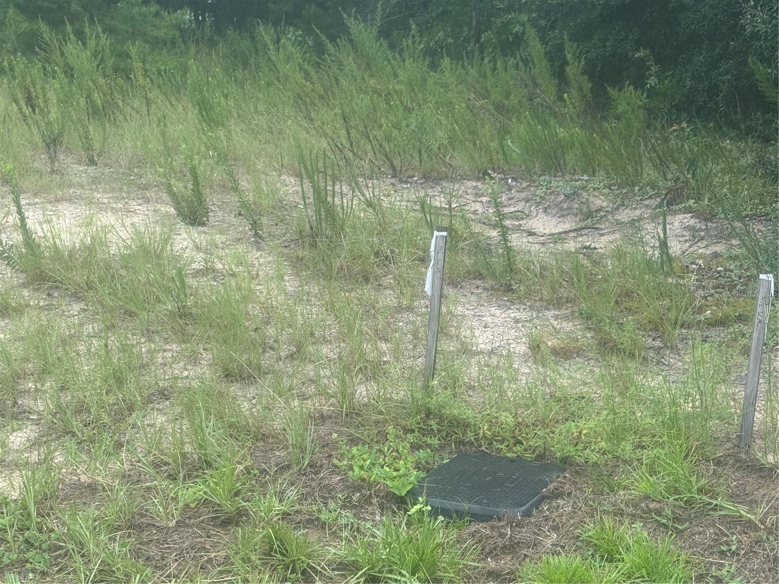 Tbd Sw 60th Cir #9 Property Photo 4
