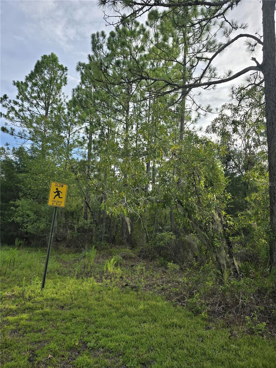 00 Ne 124th Ter Property Photo 4