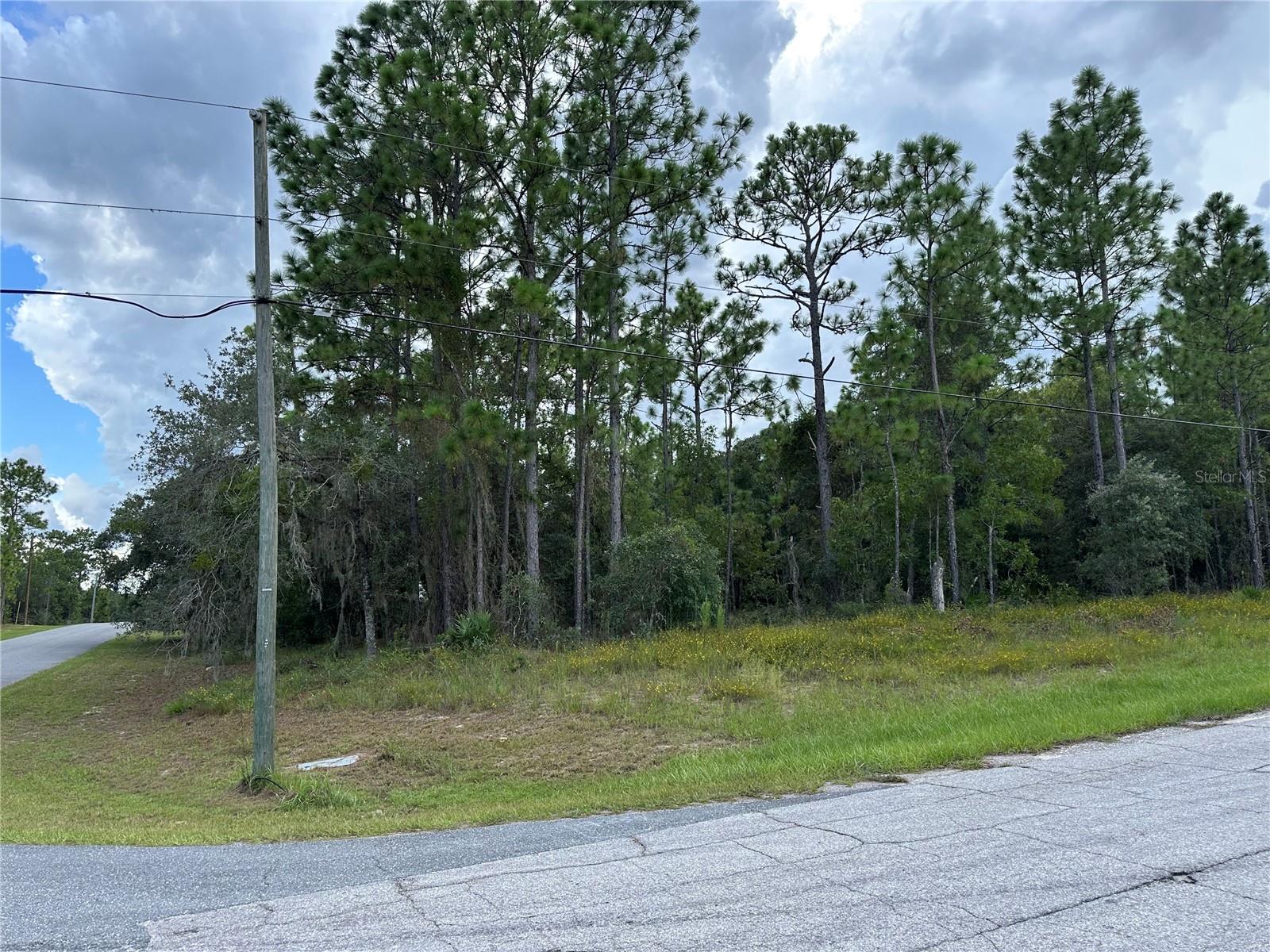 5212 N Peppermint Dr Property Photo 1