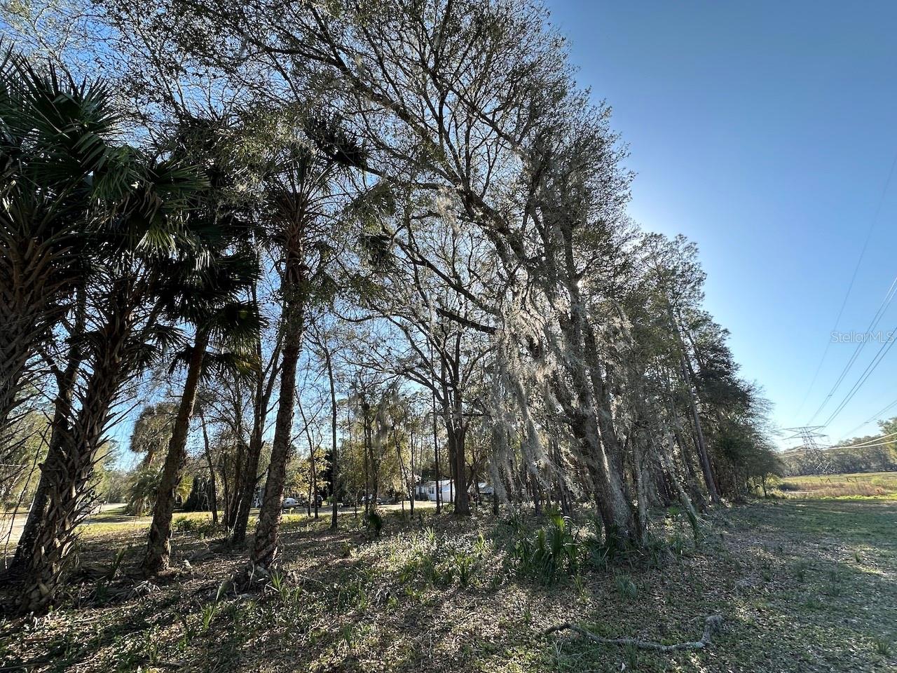 Tbd Ne 151 Ln Property Photo 1