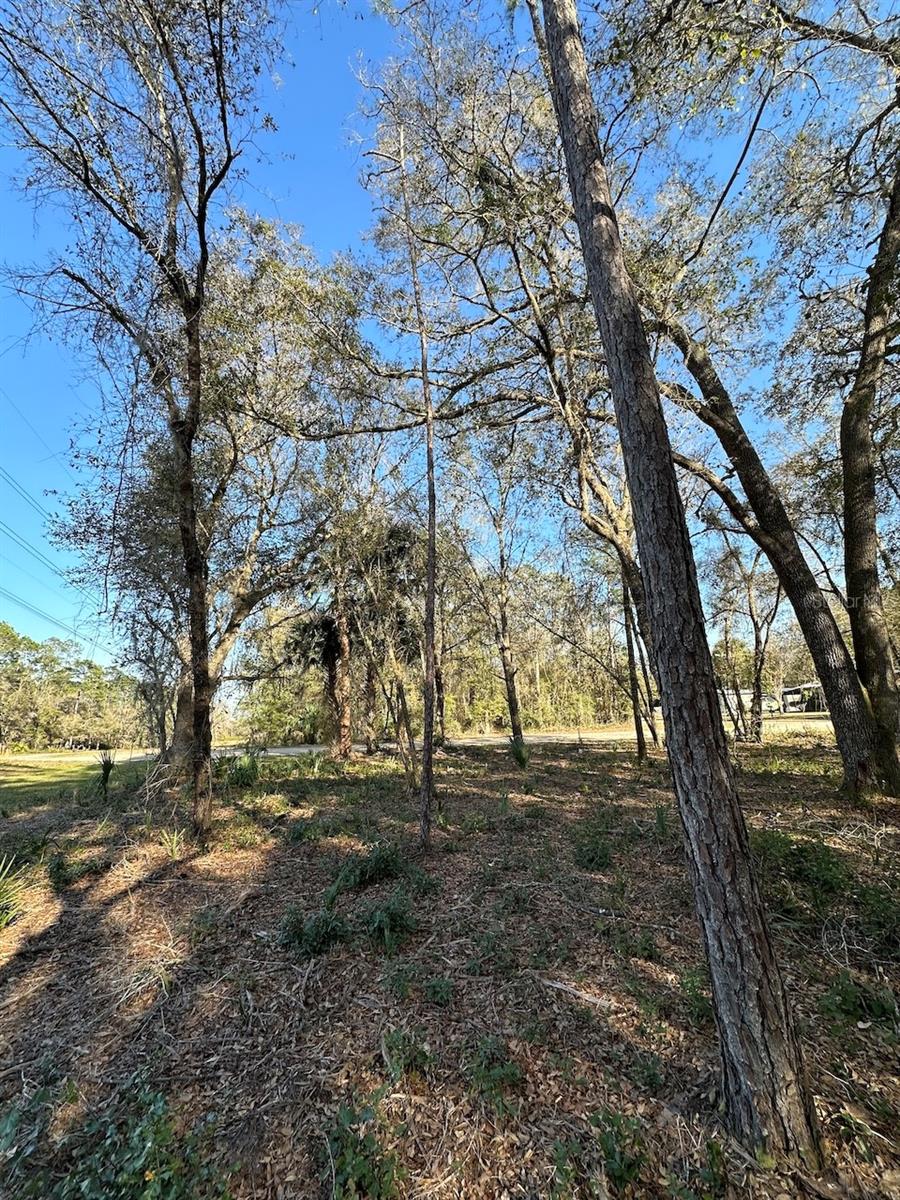 Tbd Ne 151 Ln Property Photo 3