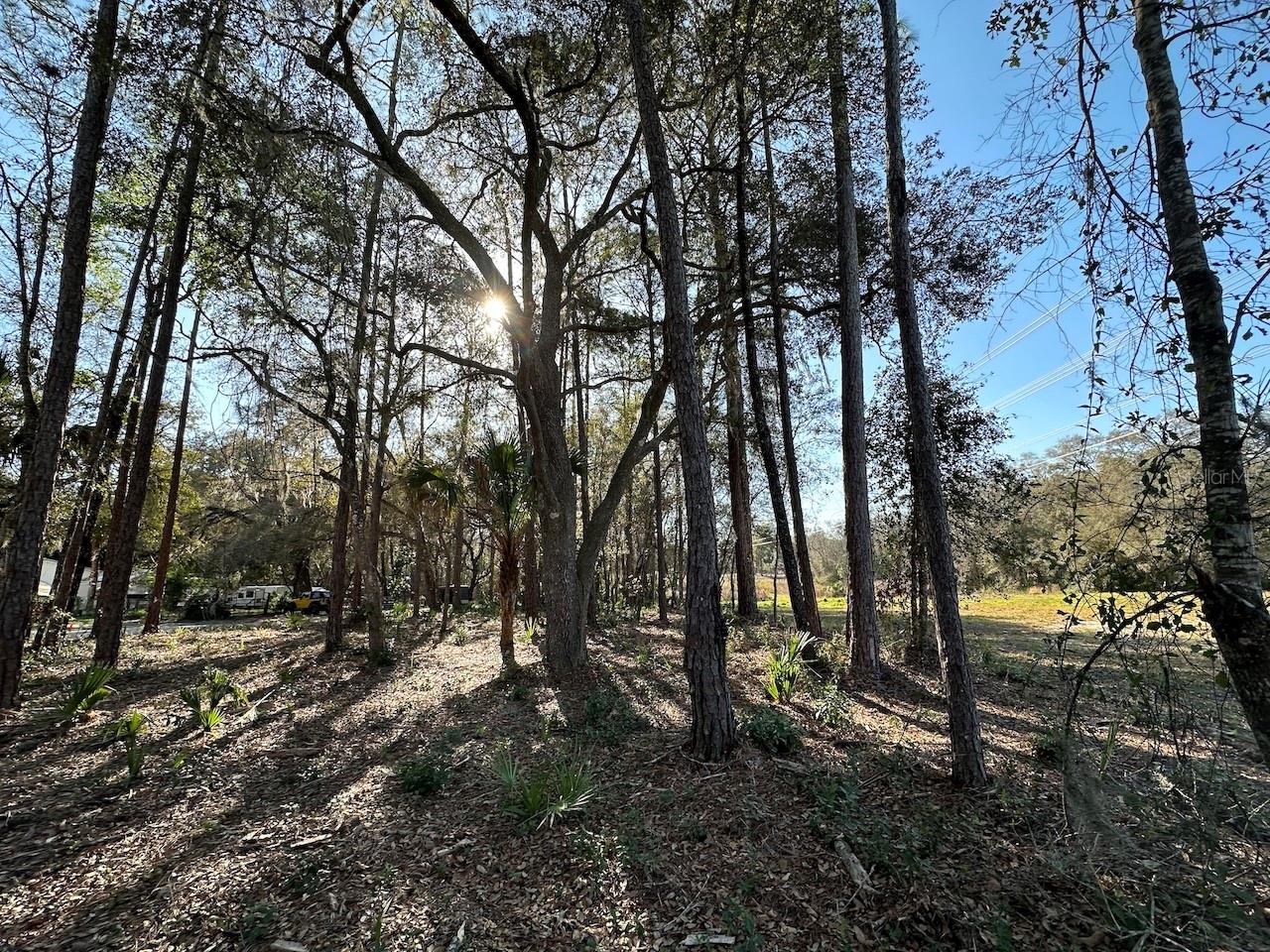 Tbd Ne 151 Ln Property Photo 4