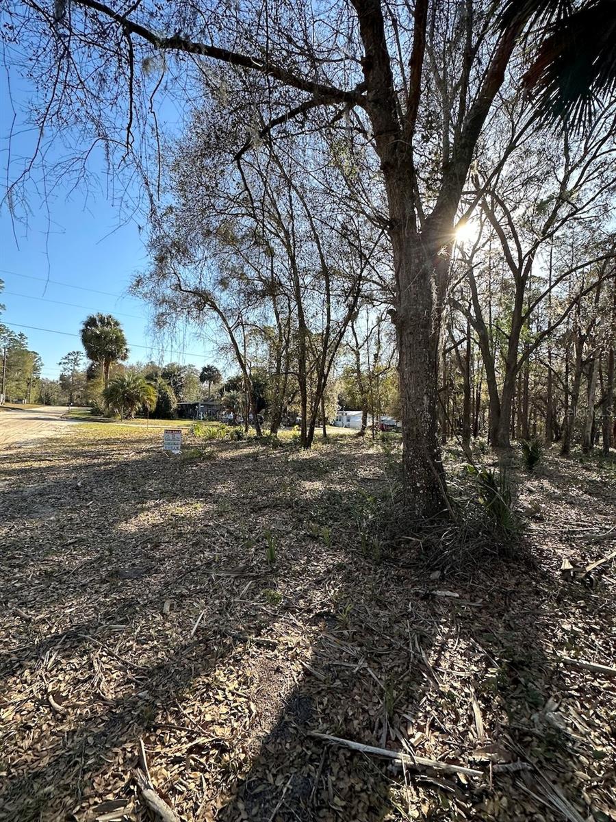 Tbd Ne 151 Ln Property Photo 6