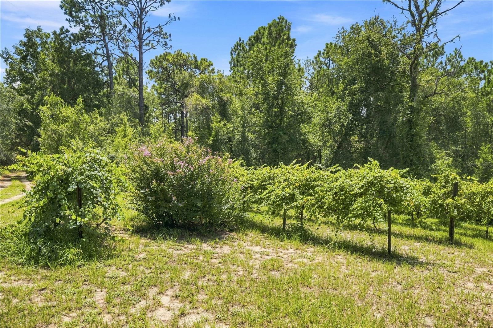 5257 N Satin Terrace Property Photo 27