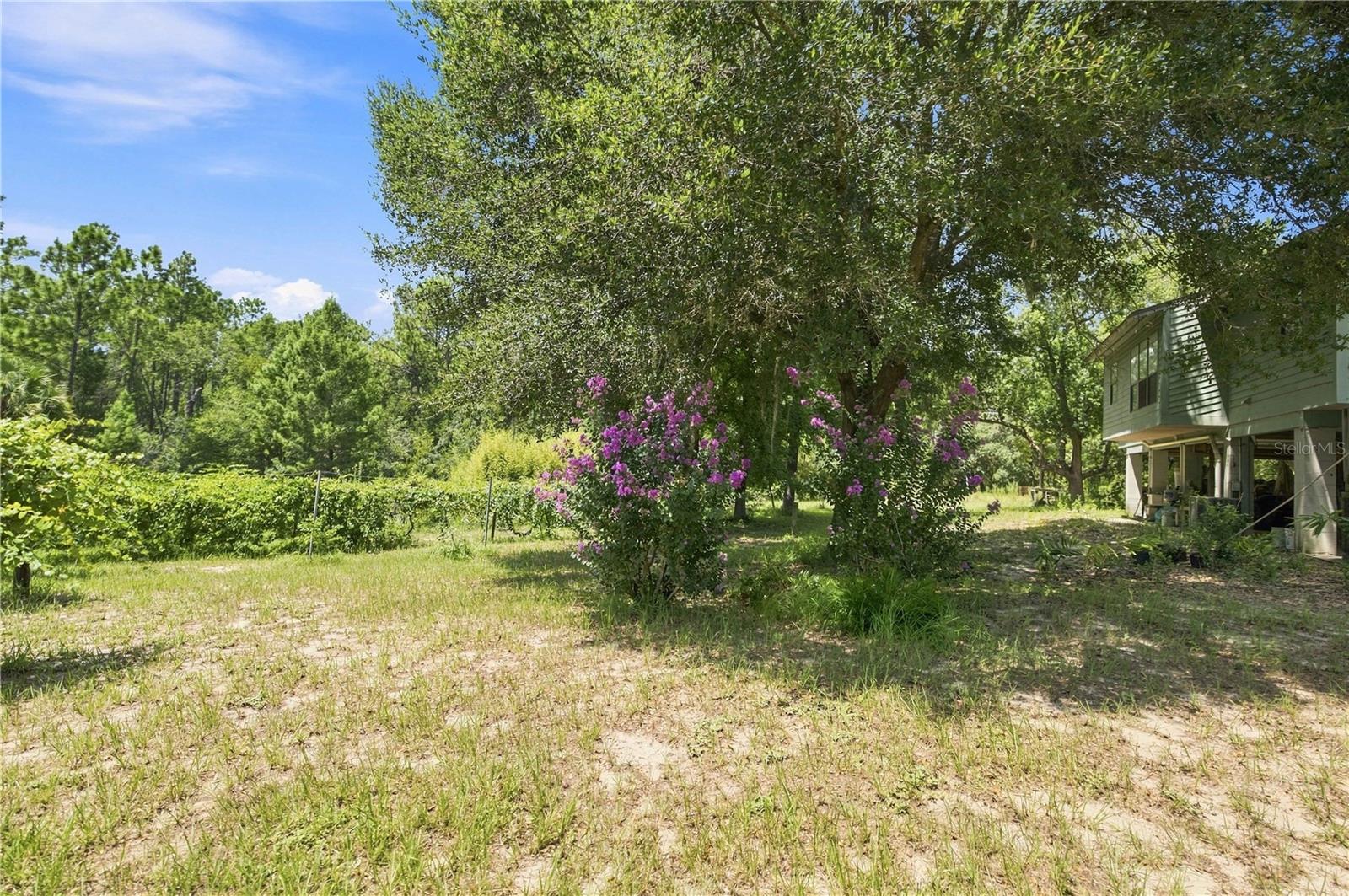 5257 N Satin Terrace Property Photo 28