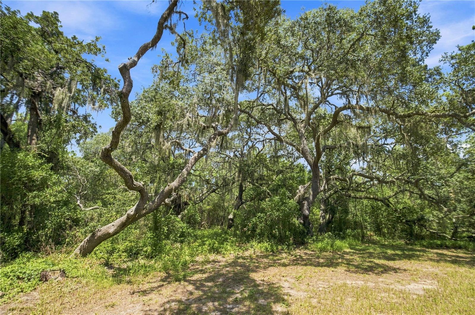 5257 N Satin Terrace Property Photo 34