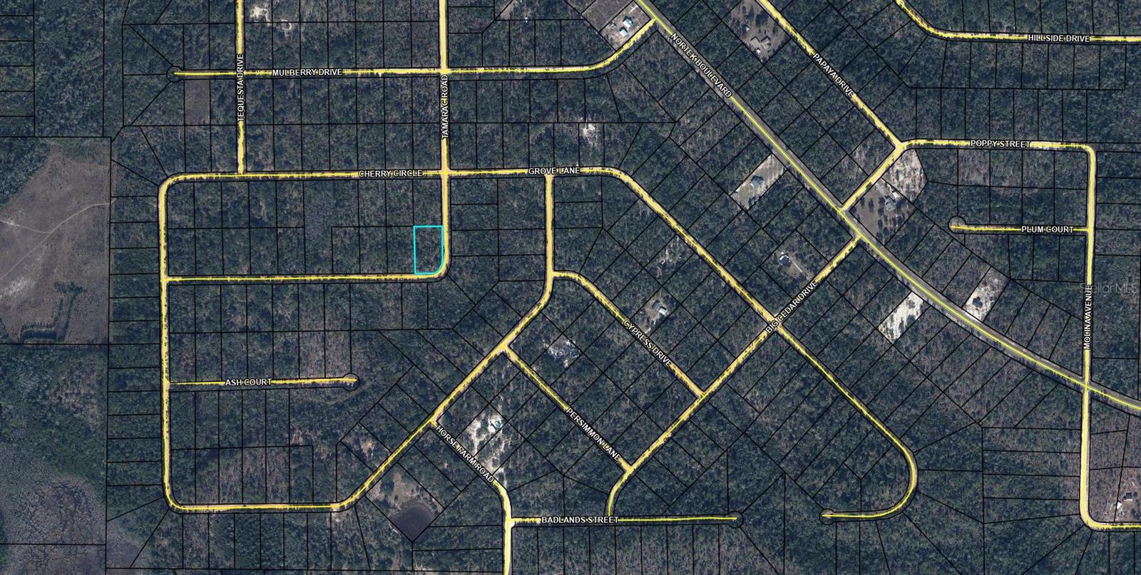 Tbd Tamarac Rd Property Photo 1