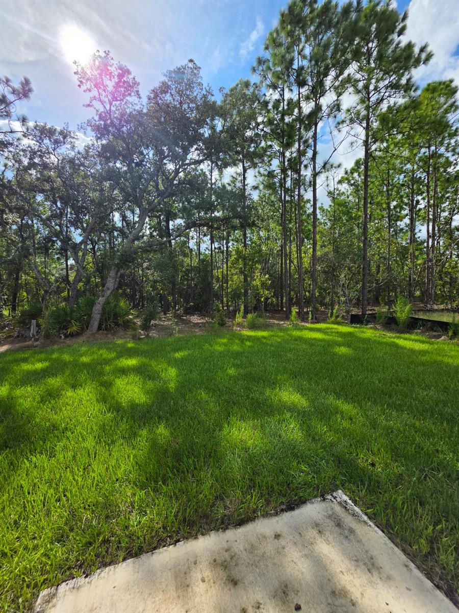 13054 Sw 88th Ct Property Photo 24