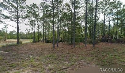 10599 N Caldera Ave Property Photo 1