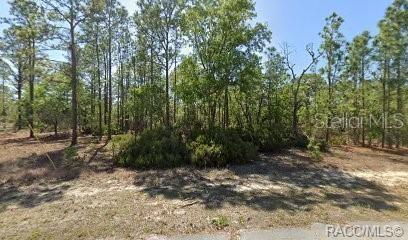 10584 N Inez Ter Property Photo 1