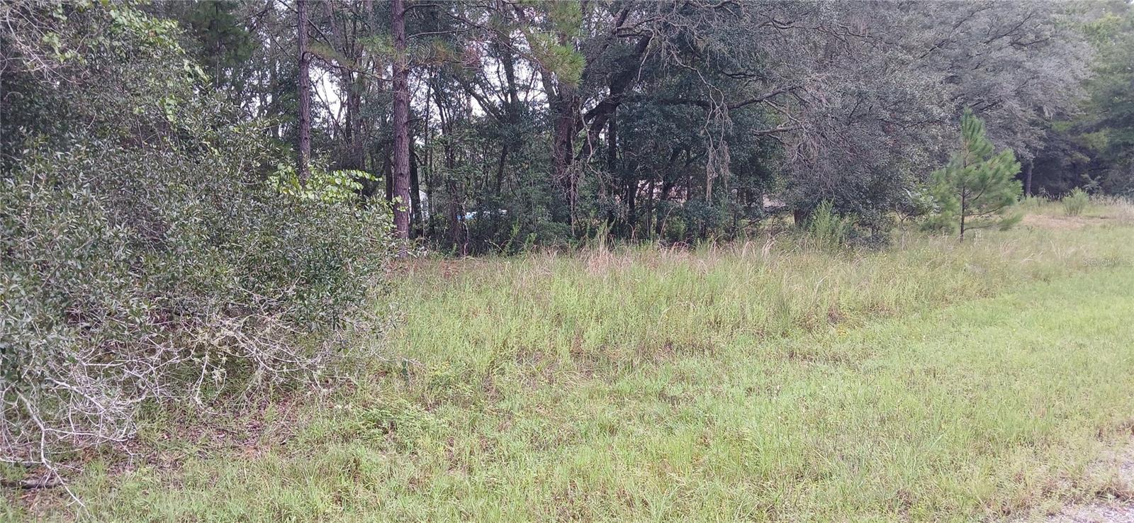 1623 E Ivydale Dr Property Photo 3