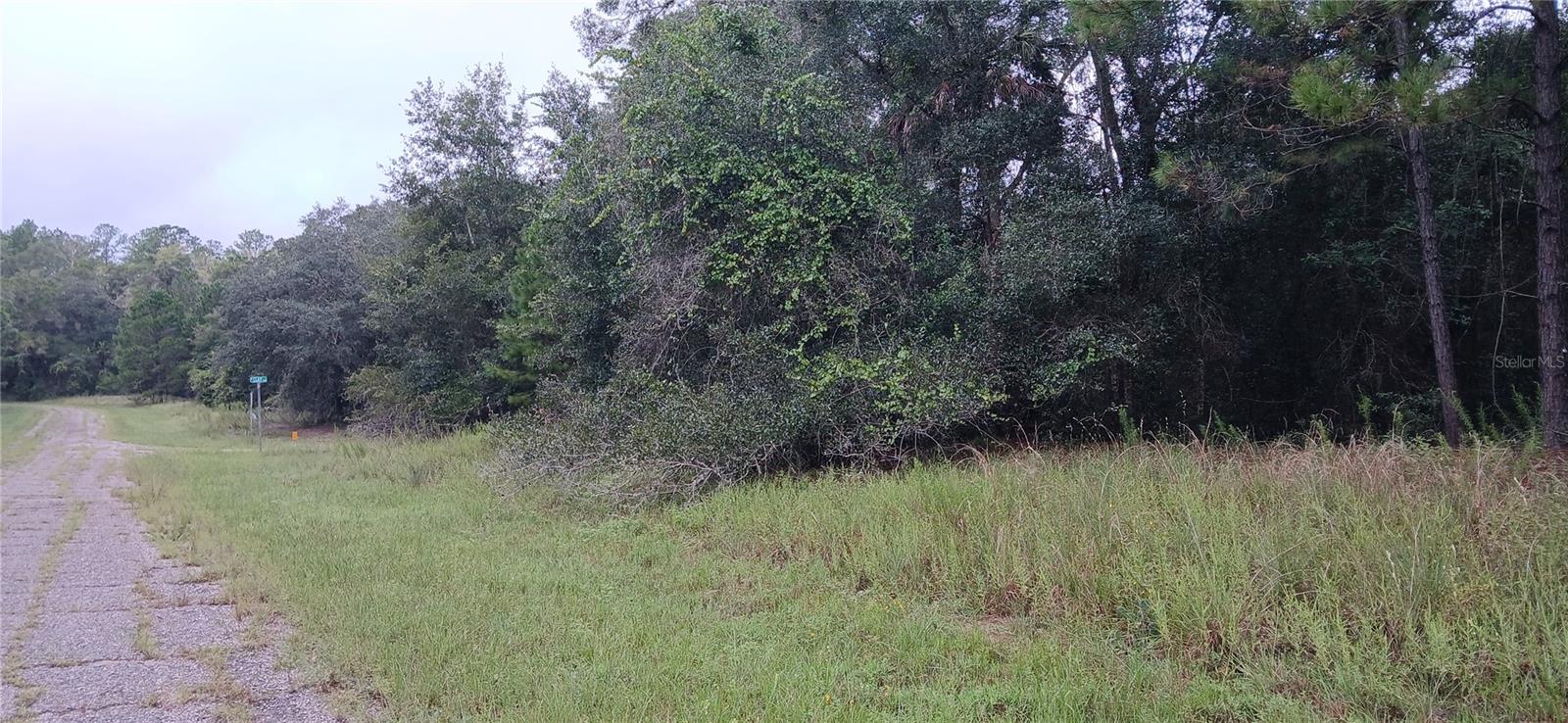 1623 E Ivydale Dr Property Photo 4