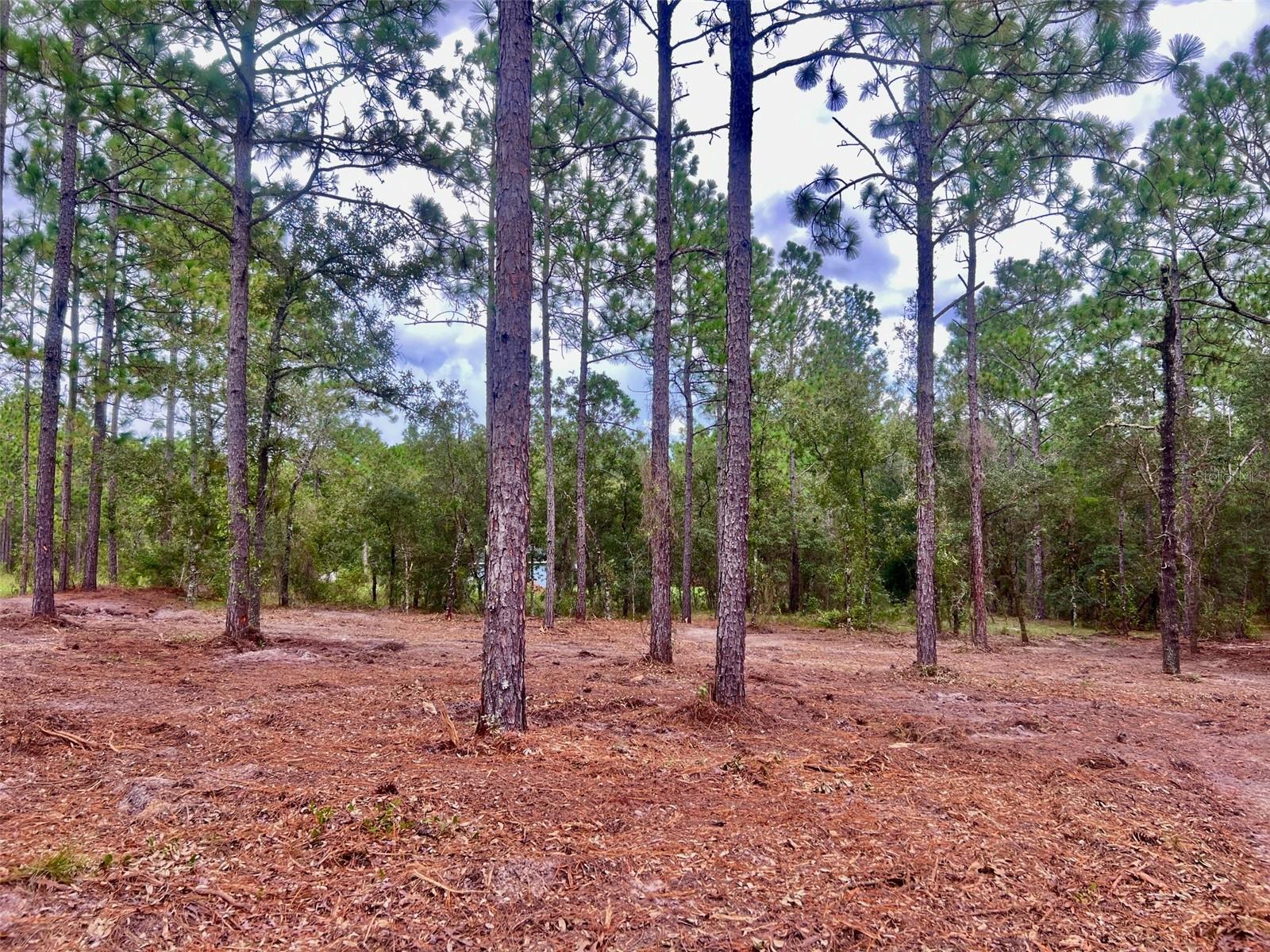 16 Sw Anchor Blvd Property Photo 3