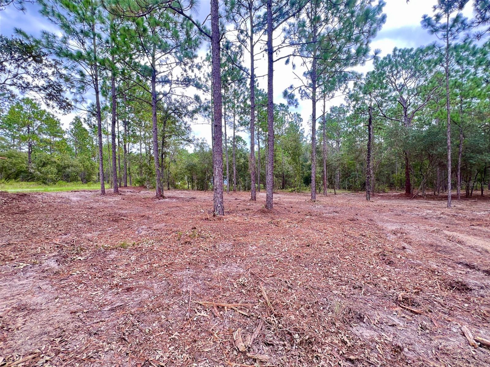 16 Sw Anchor Blvd Property Photo 4