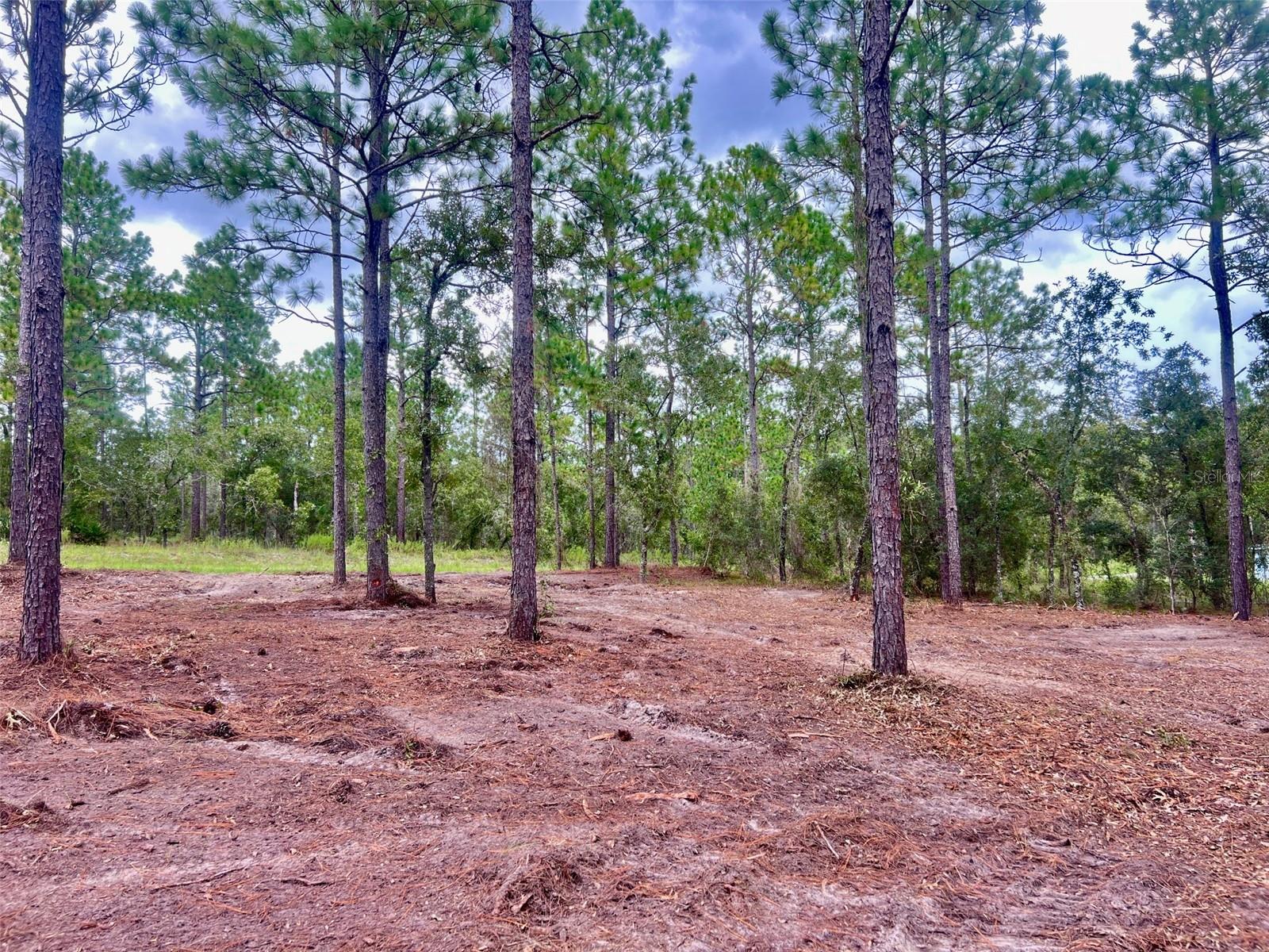 16 Sw Anchor Blvd Property Photo 6