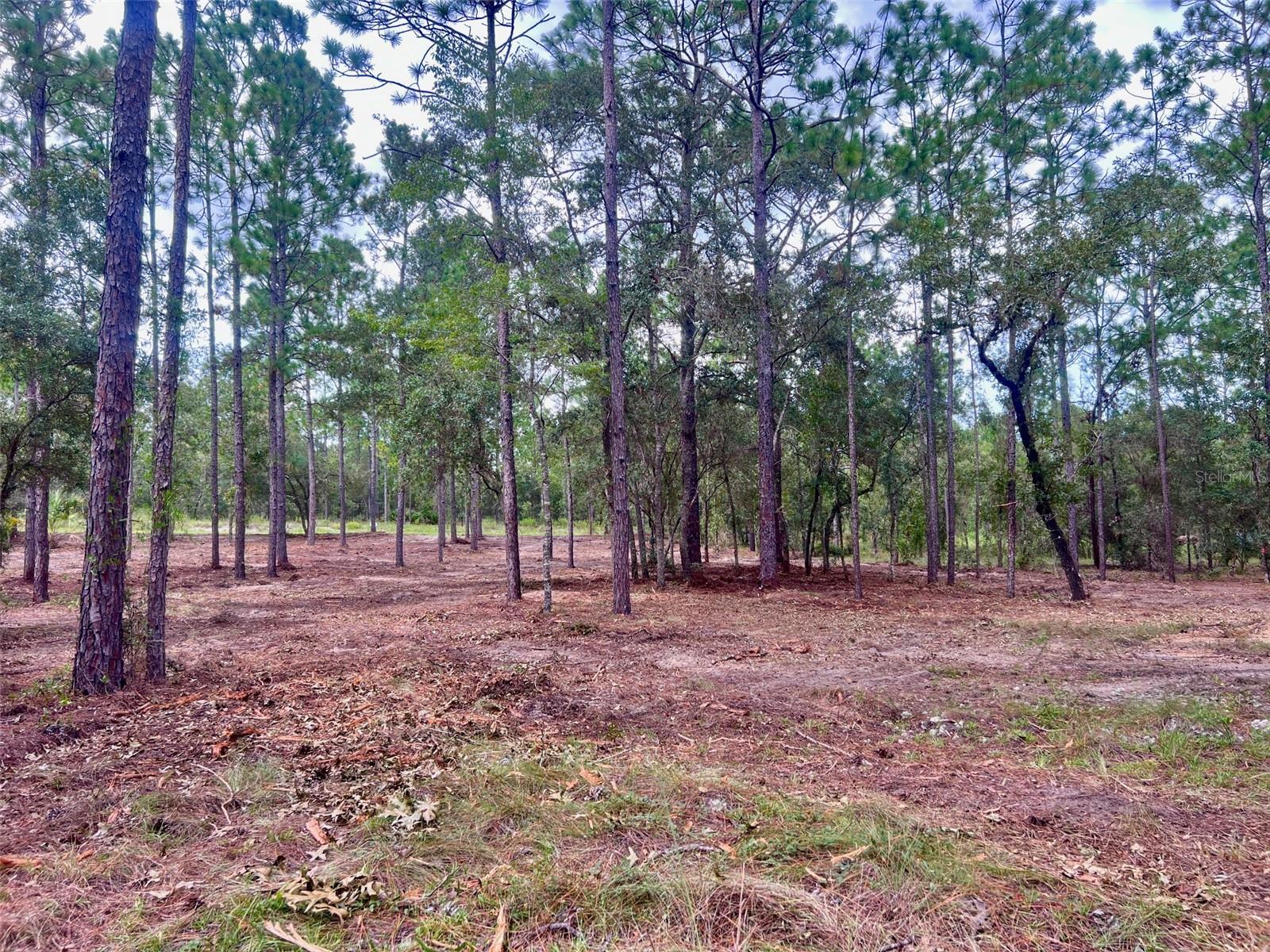 16 Sw Anchor Blvd Property Photo 8