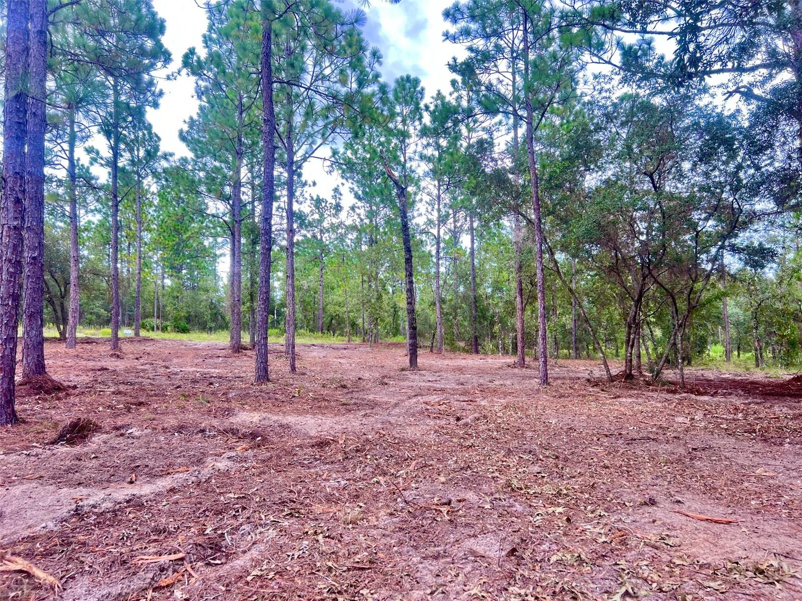 16 Sw Anchor Blvd Property Photo 13
