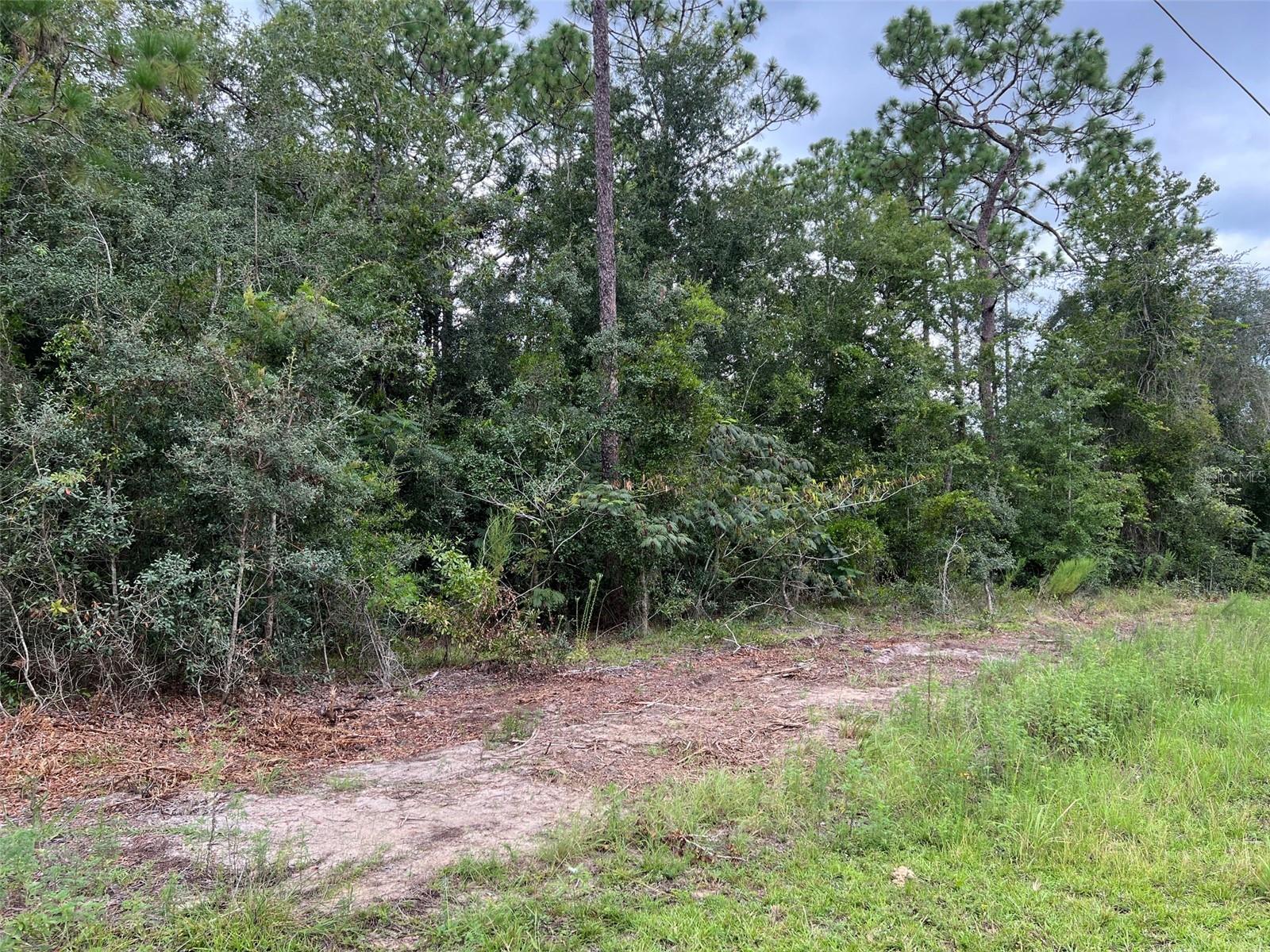 TBD SW 167TH AVE Property Photo 1