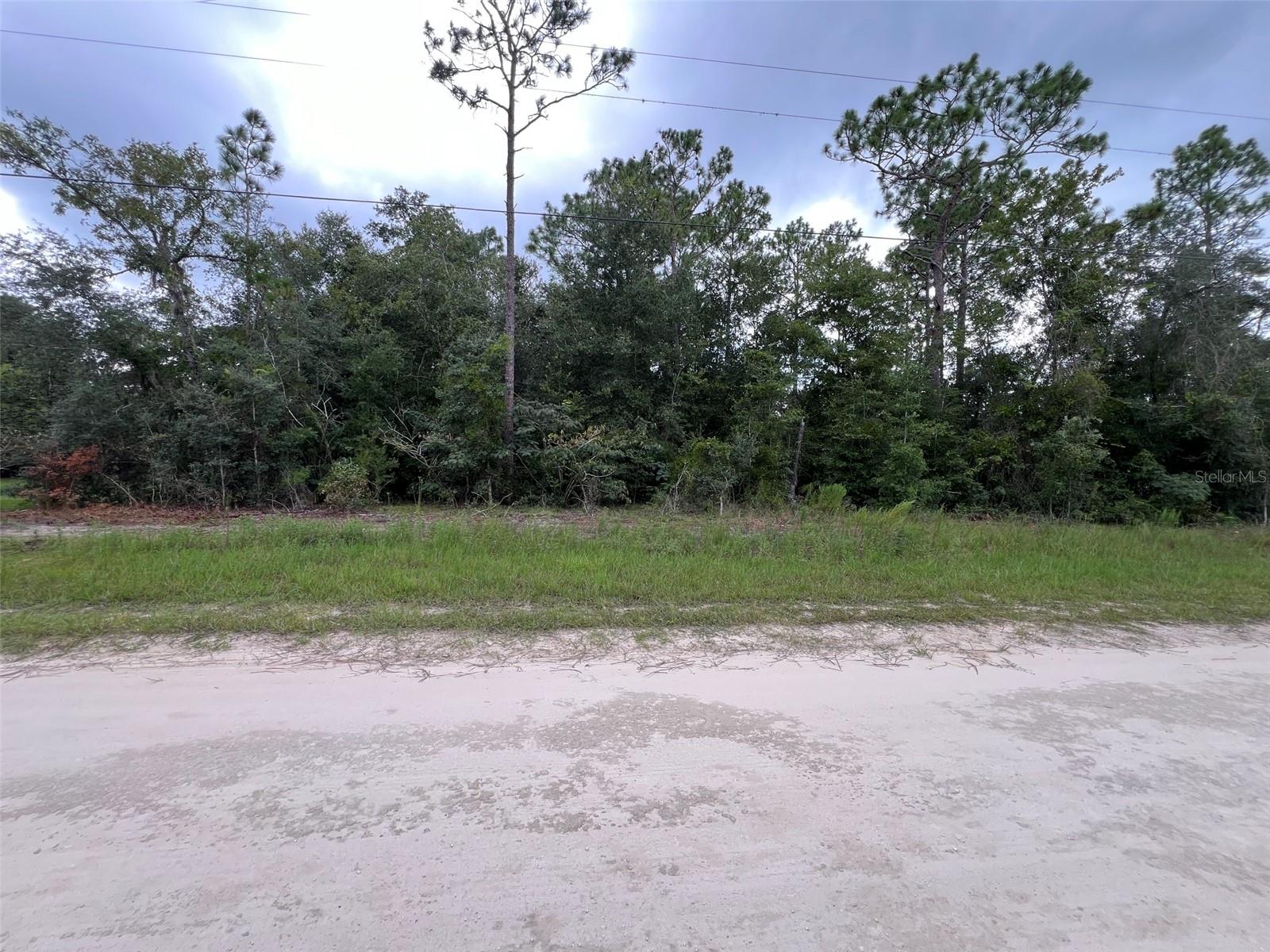 Tbd Sw 167th Ave Property Photo 2