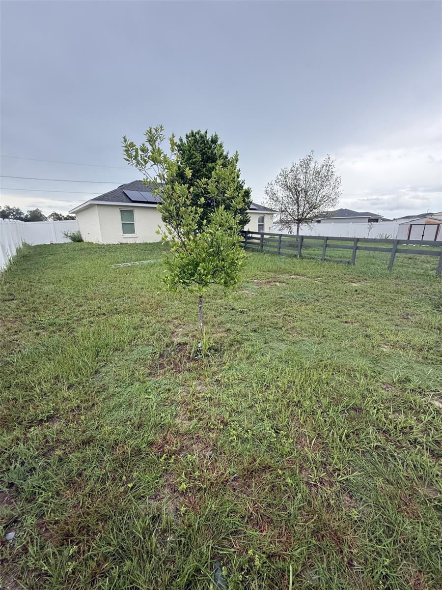 36 Walnut Dr Property Photo 15