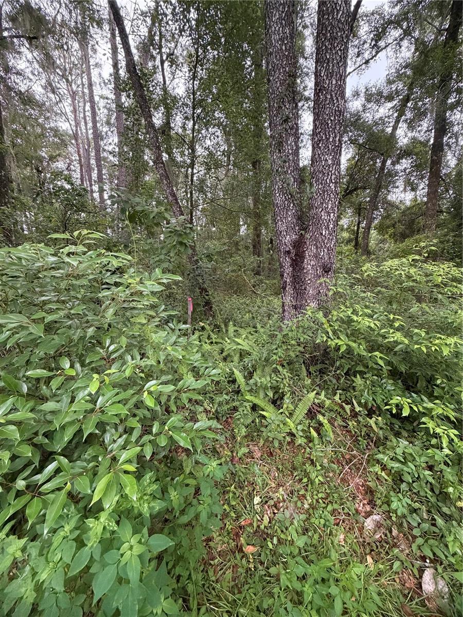 6033 E Dell Ln Property Photo 4