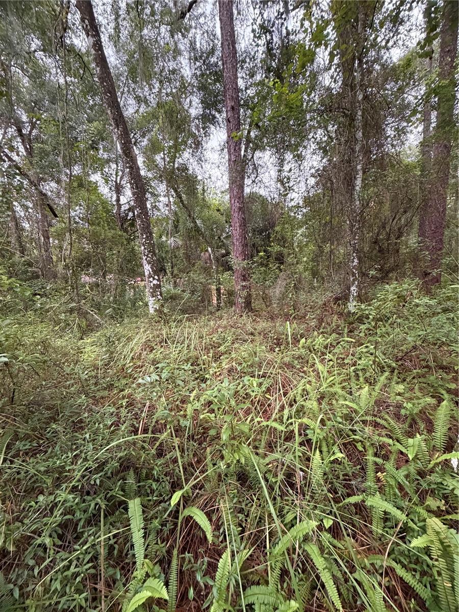 6033 E Dell Ln Property Photo 10