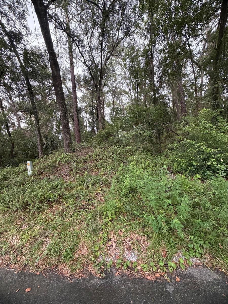 6033 E Dell Ln Property Photo 20