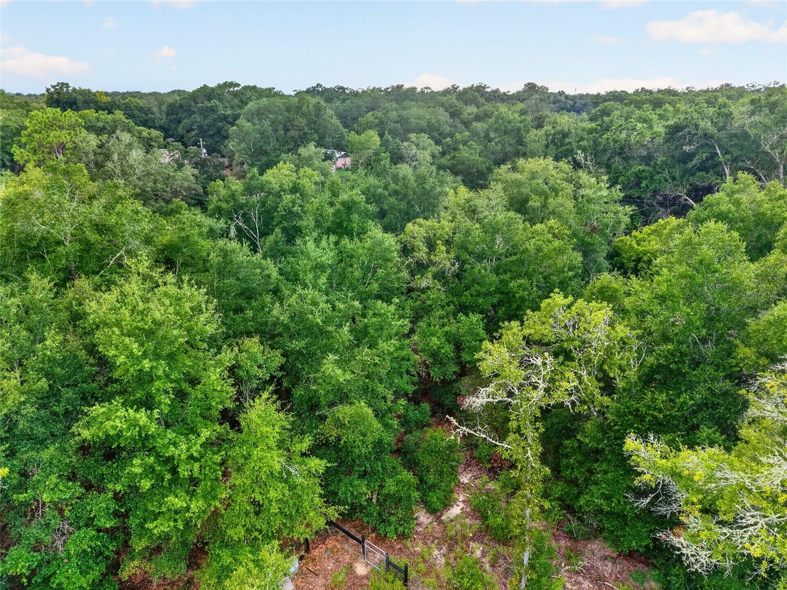 56th Avenue Property Photo 16