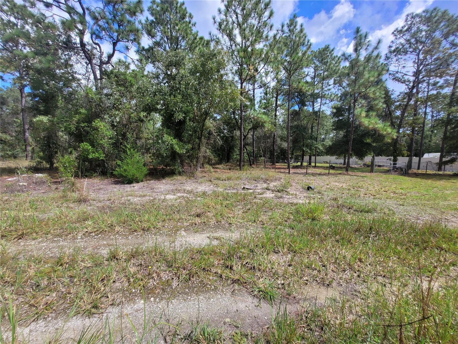 0 Ne 3rd Pl Property Photo 1
