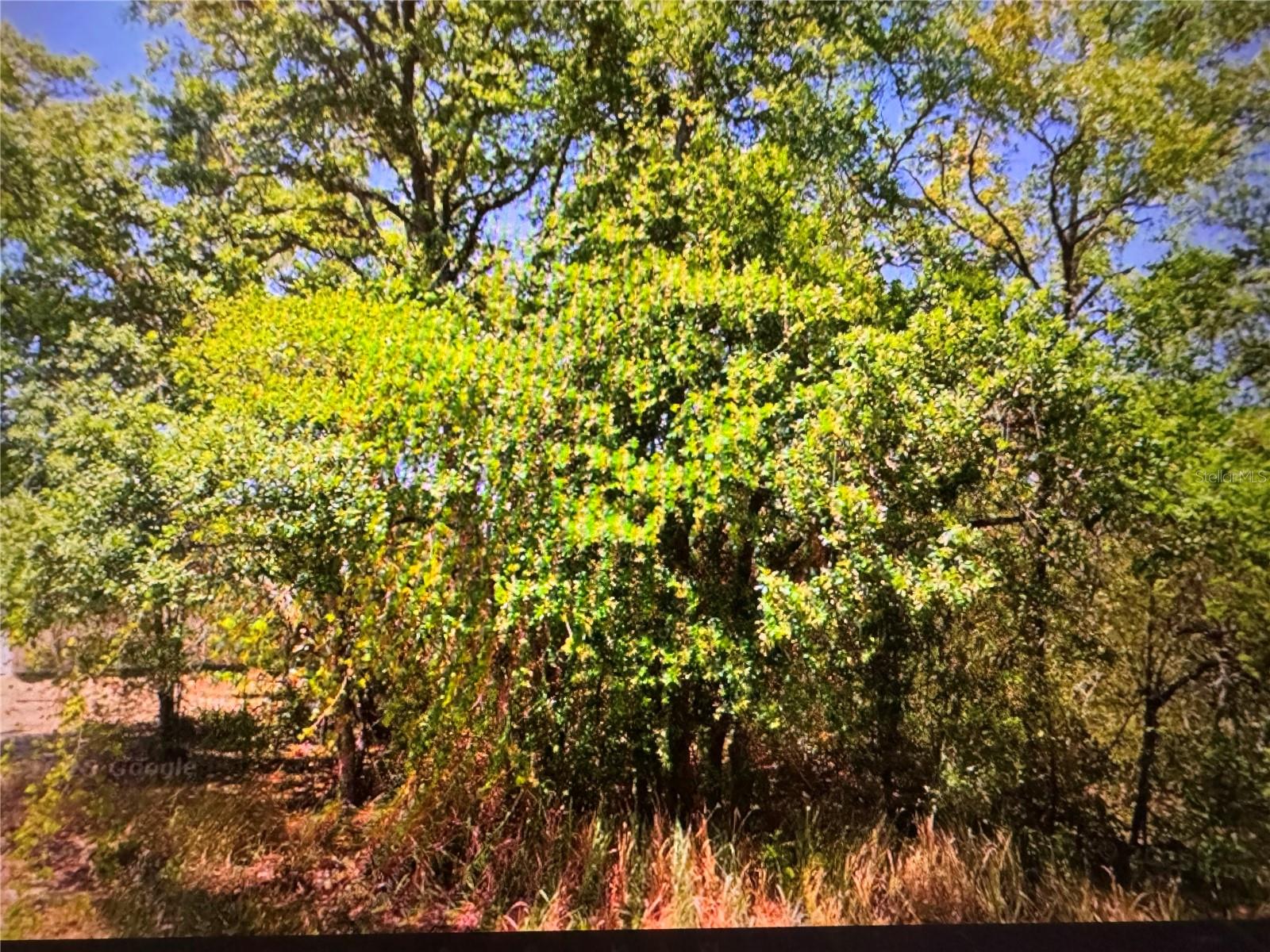 252 LOCUST LN Property Photo 1