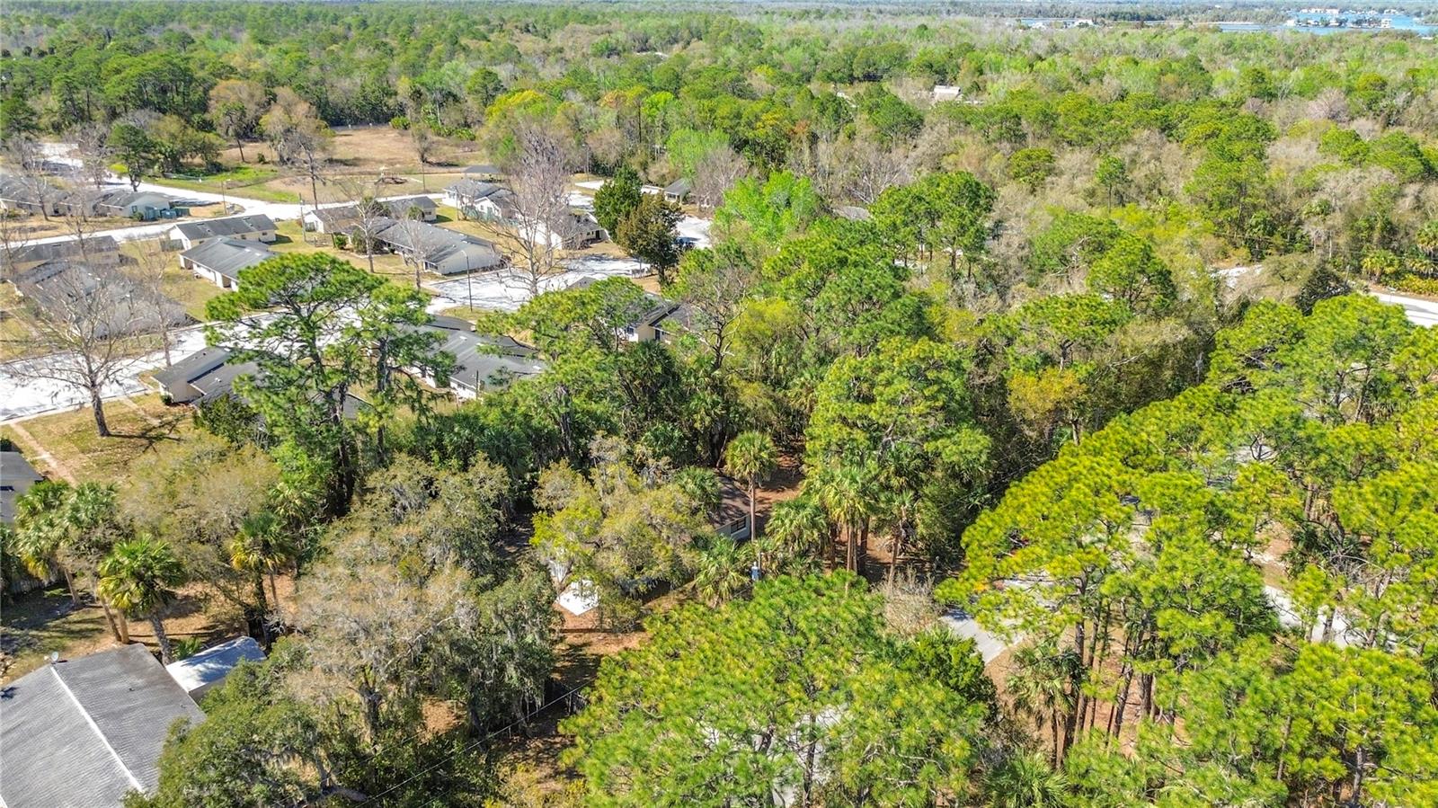 416 N Hourglass Ter Property Photo 6