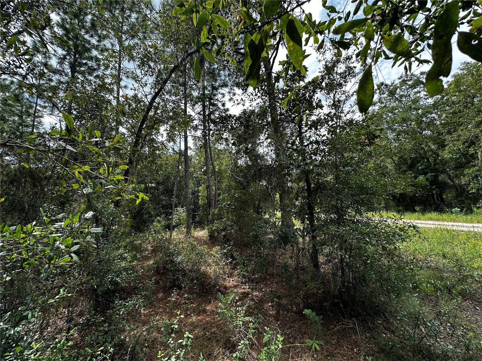 0000 Ne 155th Ct Property Photo 12
