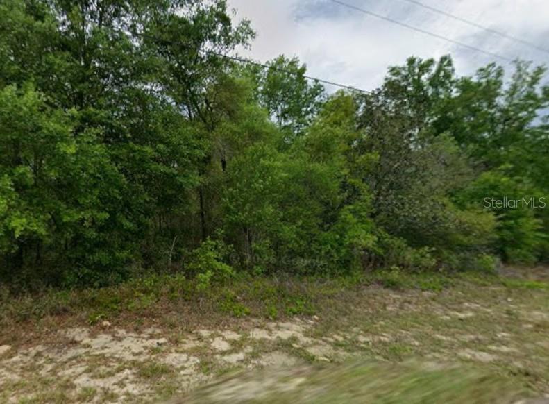 9223 N JUSTA DR Property Photo 1