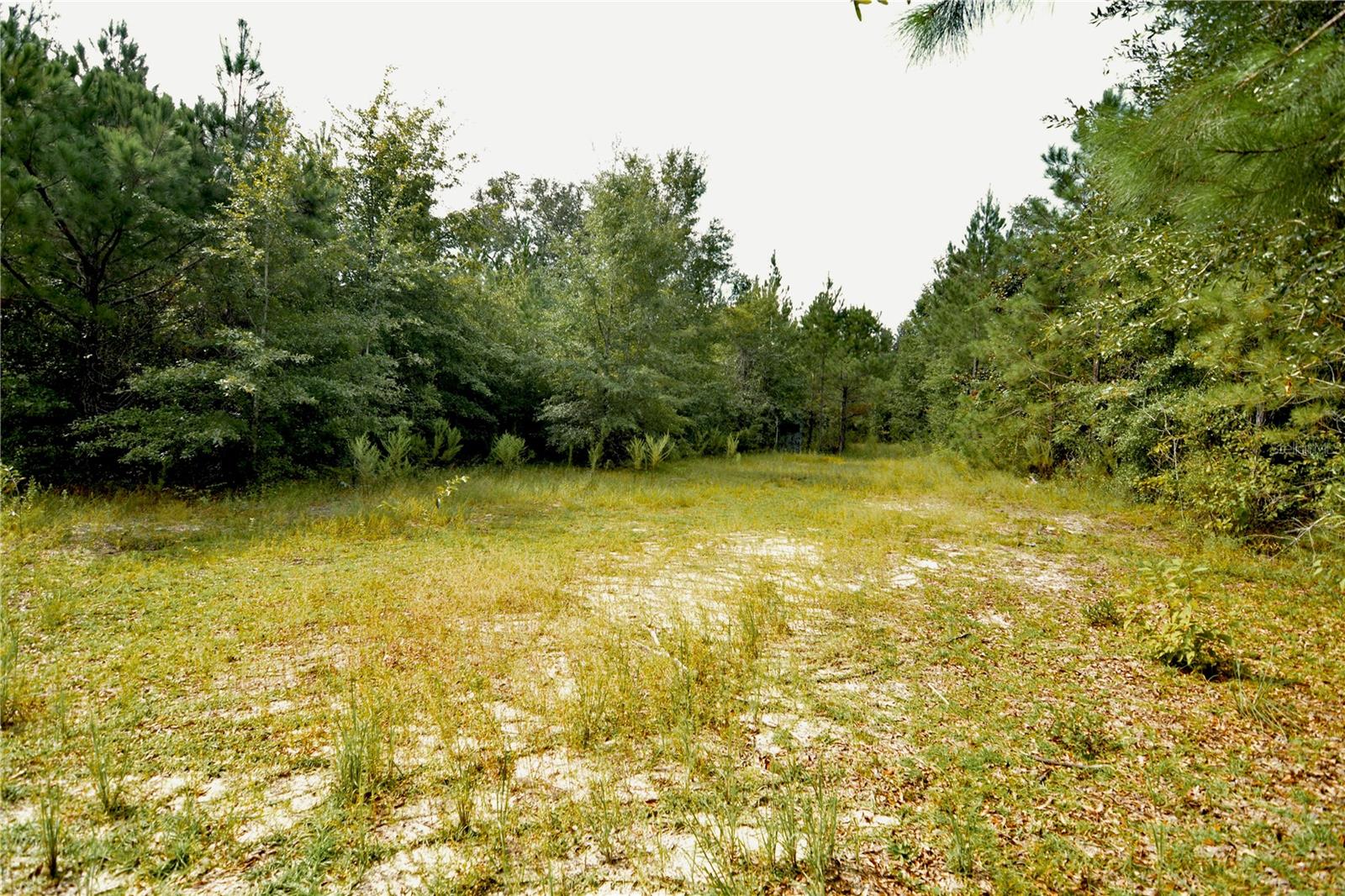 00 Old Federal Rd Property Photo 8