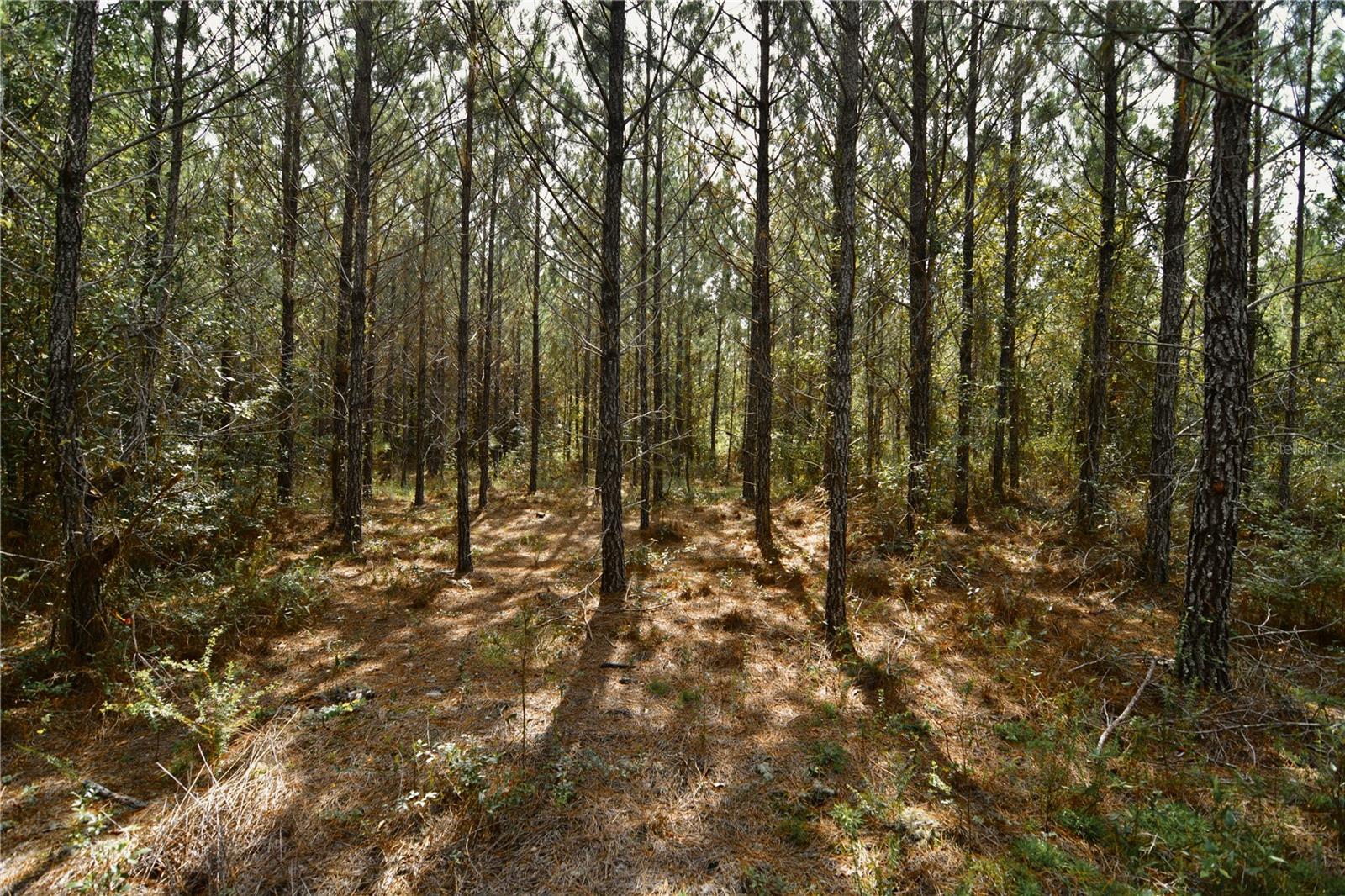 00 Old Federal Rd Property Photo 11