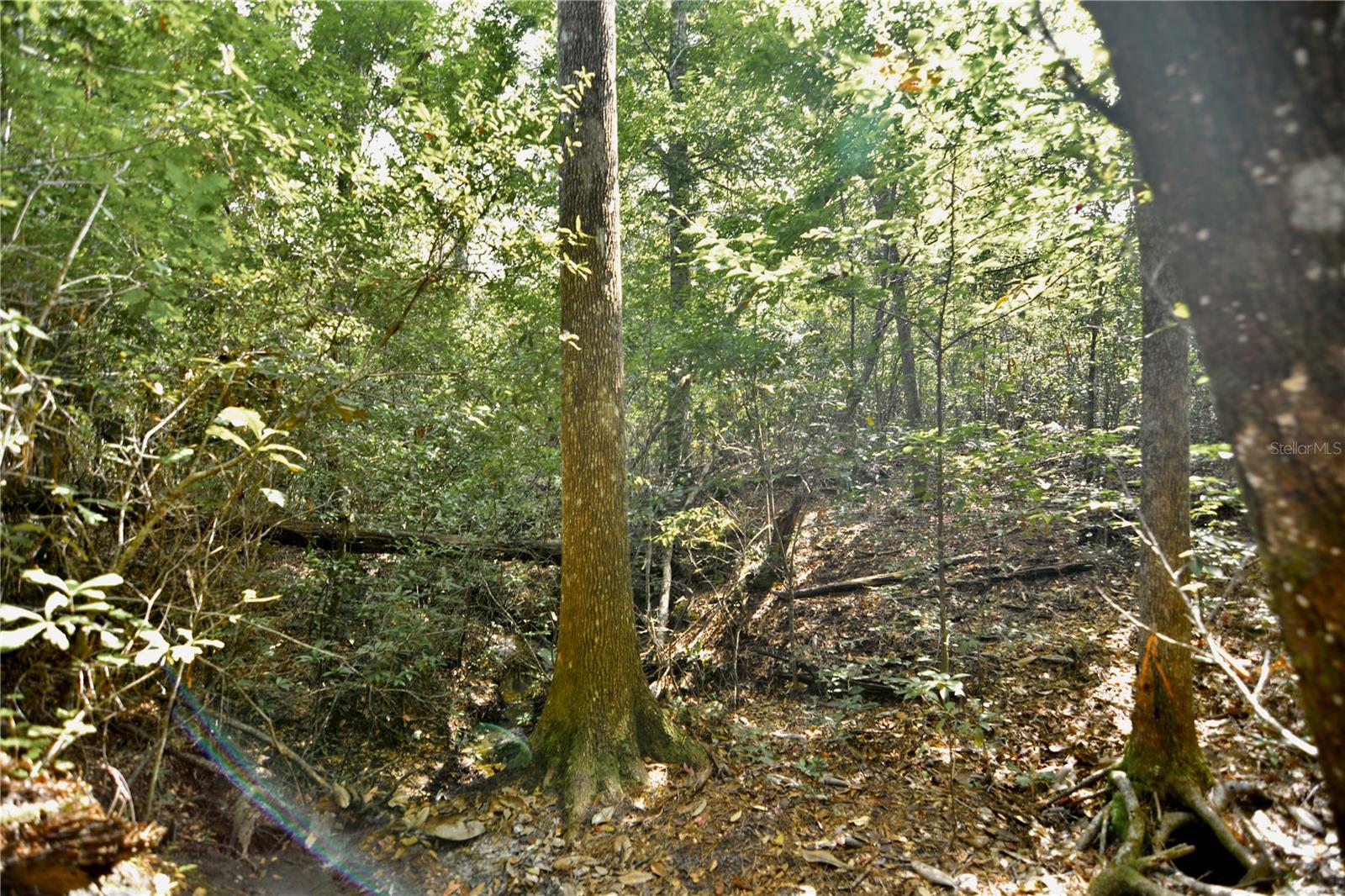 00 Old Federal Rd Property Photo 12