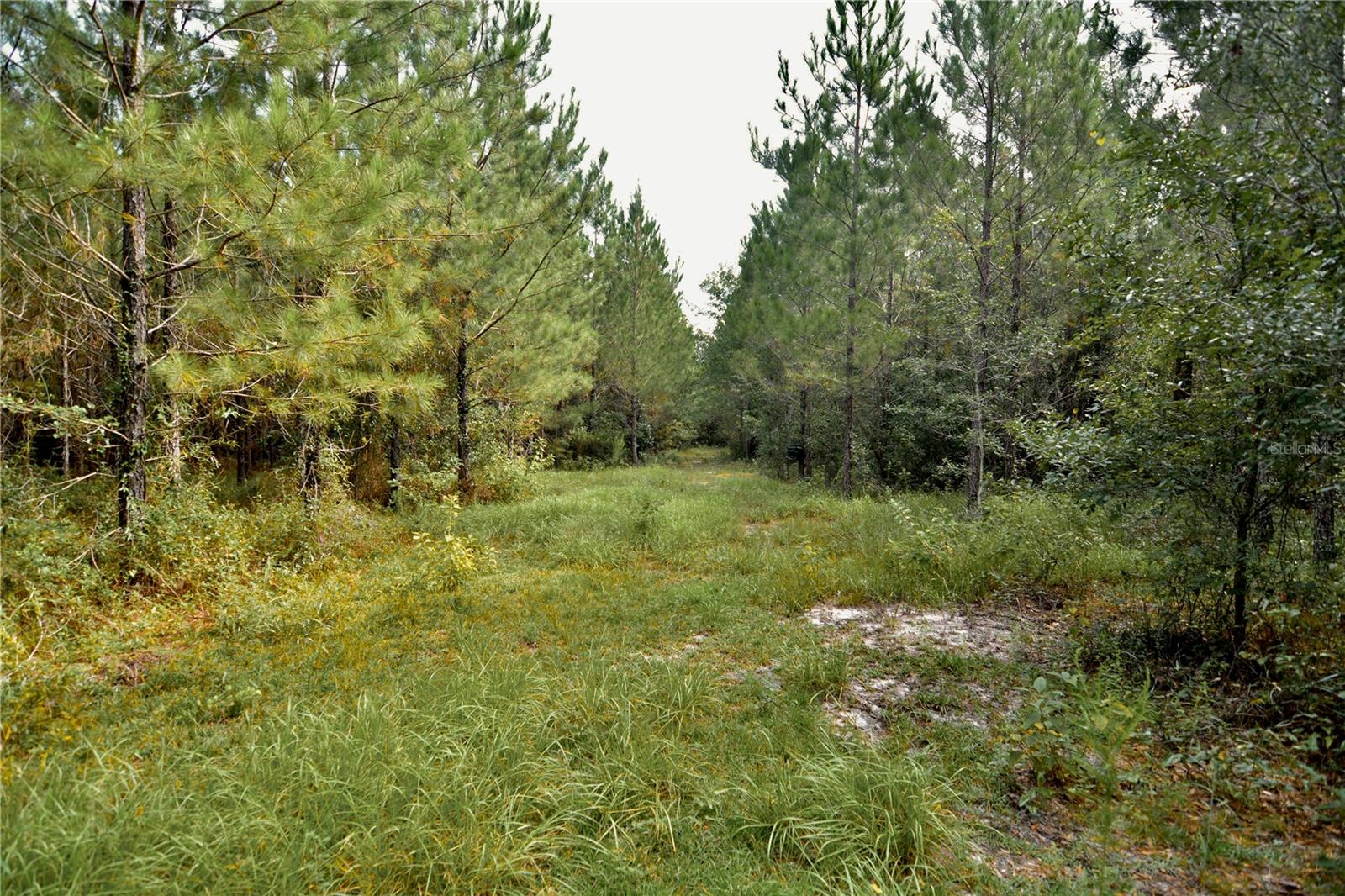 00 Old Federal Rd Property Photo 15