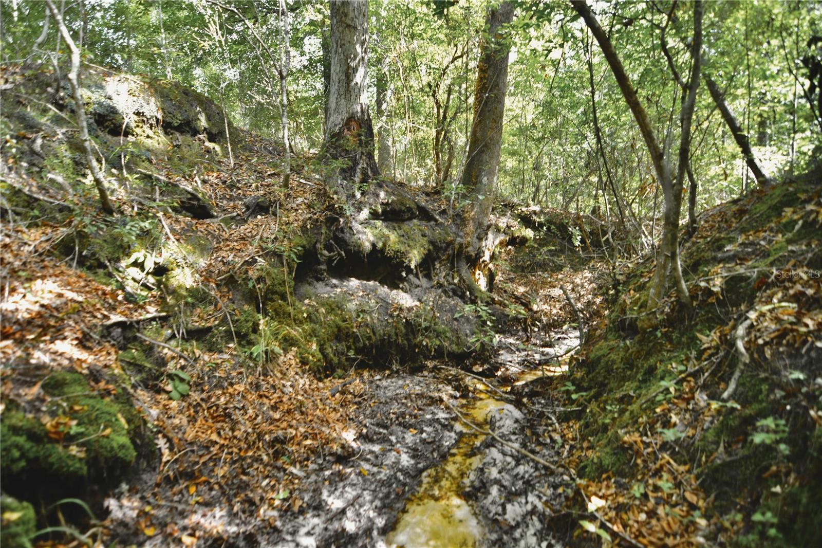 00 Old Federal Rd Property Photo 17