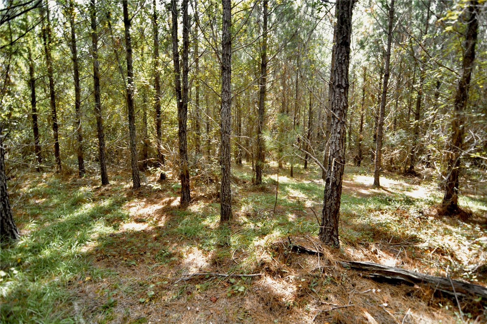 00 Old Federal Rd Property Photo 18