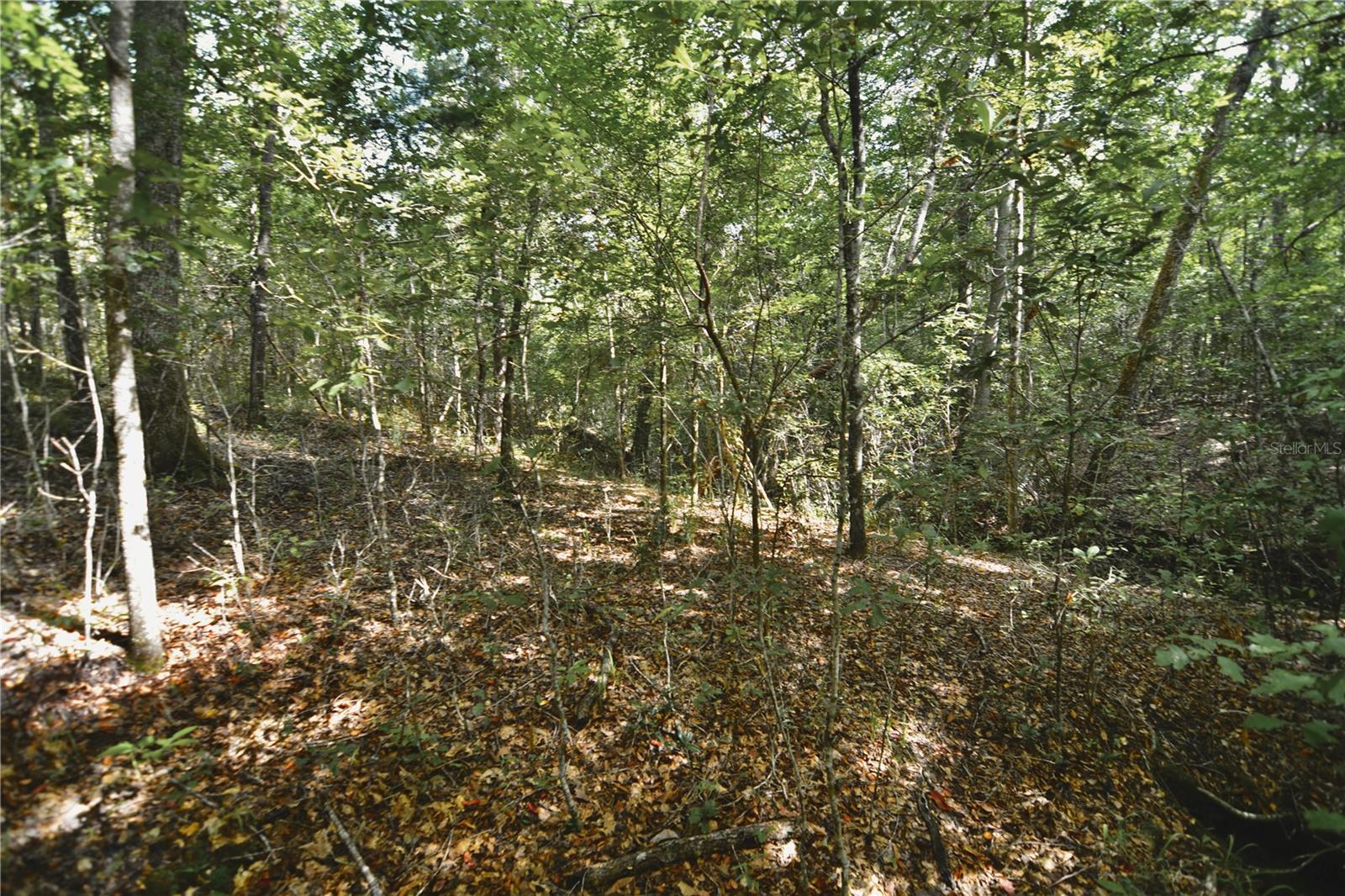 00 Old Federal Rd Property Photo 20