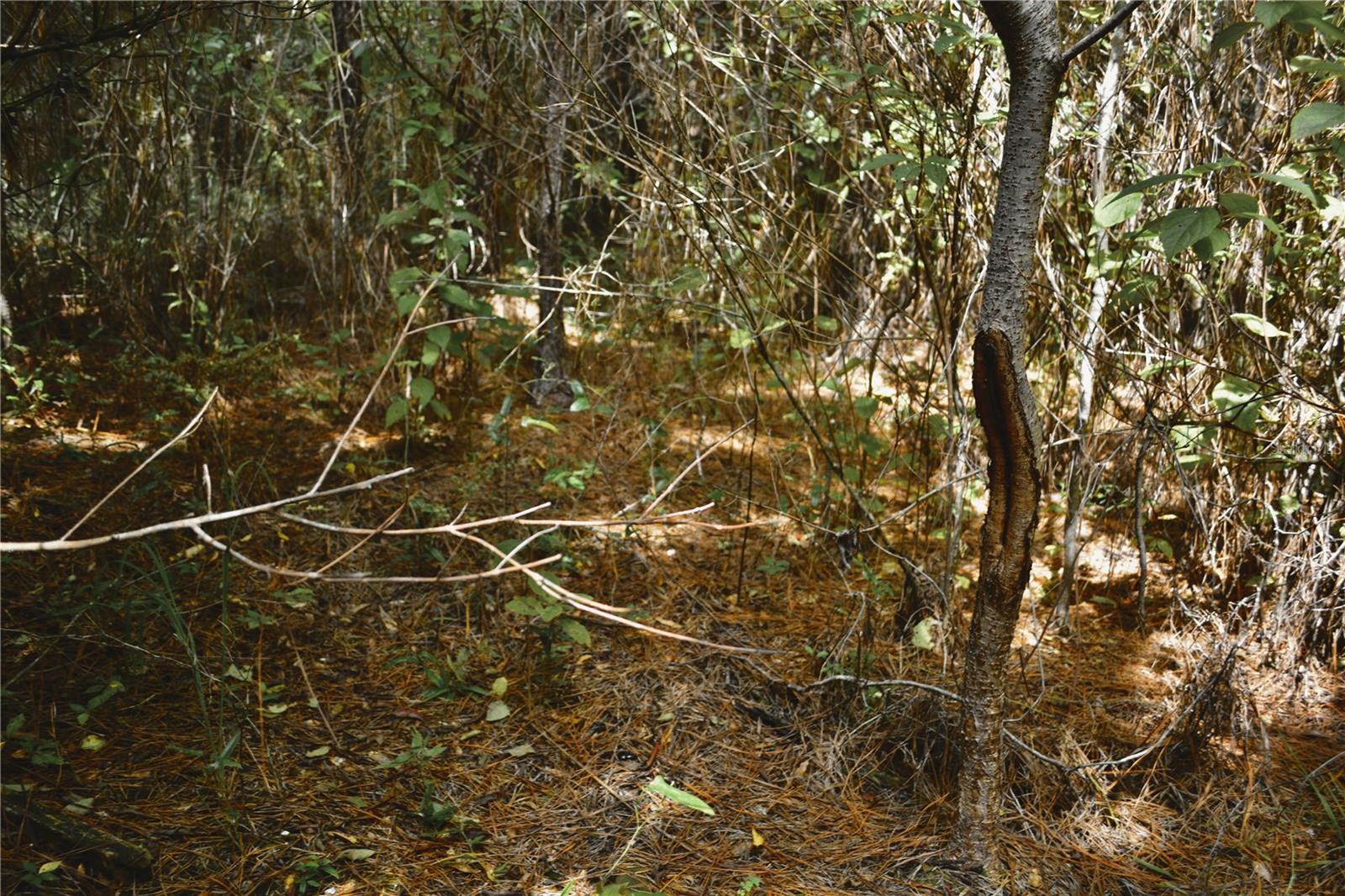 00 Old Federal Rd Property Photo 22