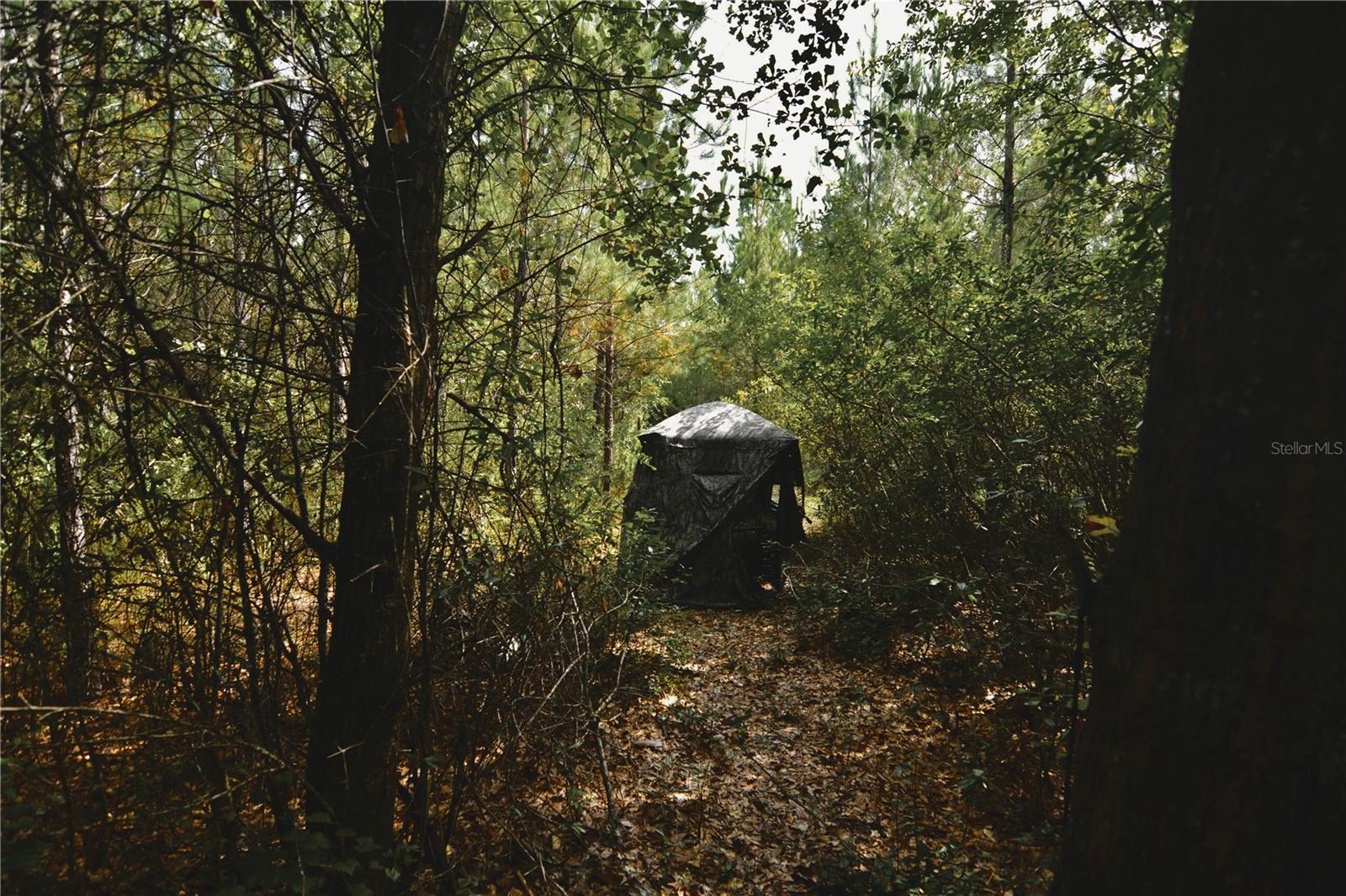 00 Old Federal Rd Property Photo 24
