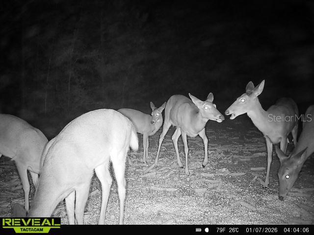 00 Old Federal Rd Property Photo 26
