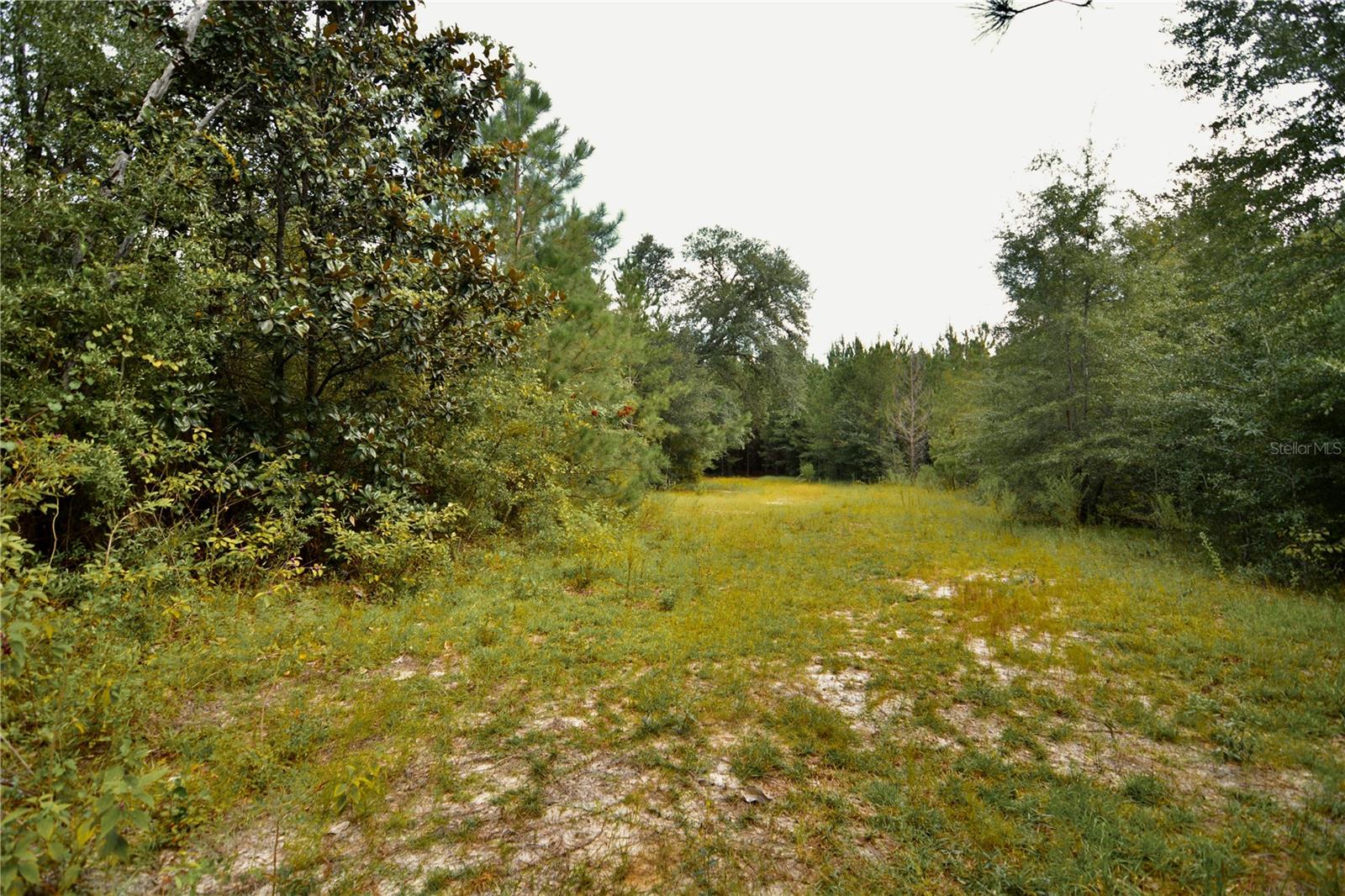 00 Old Federal Rd Property Photo 29