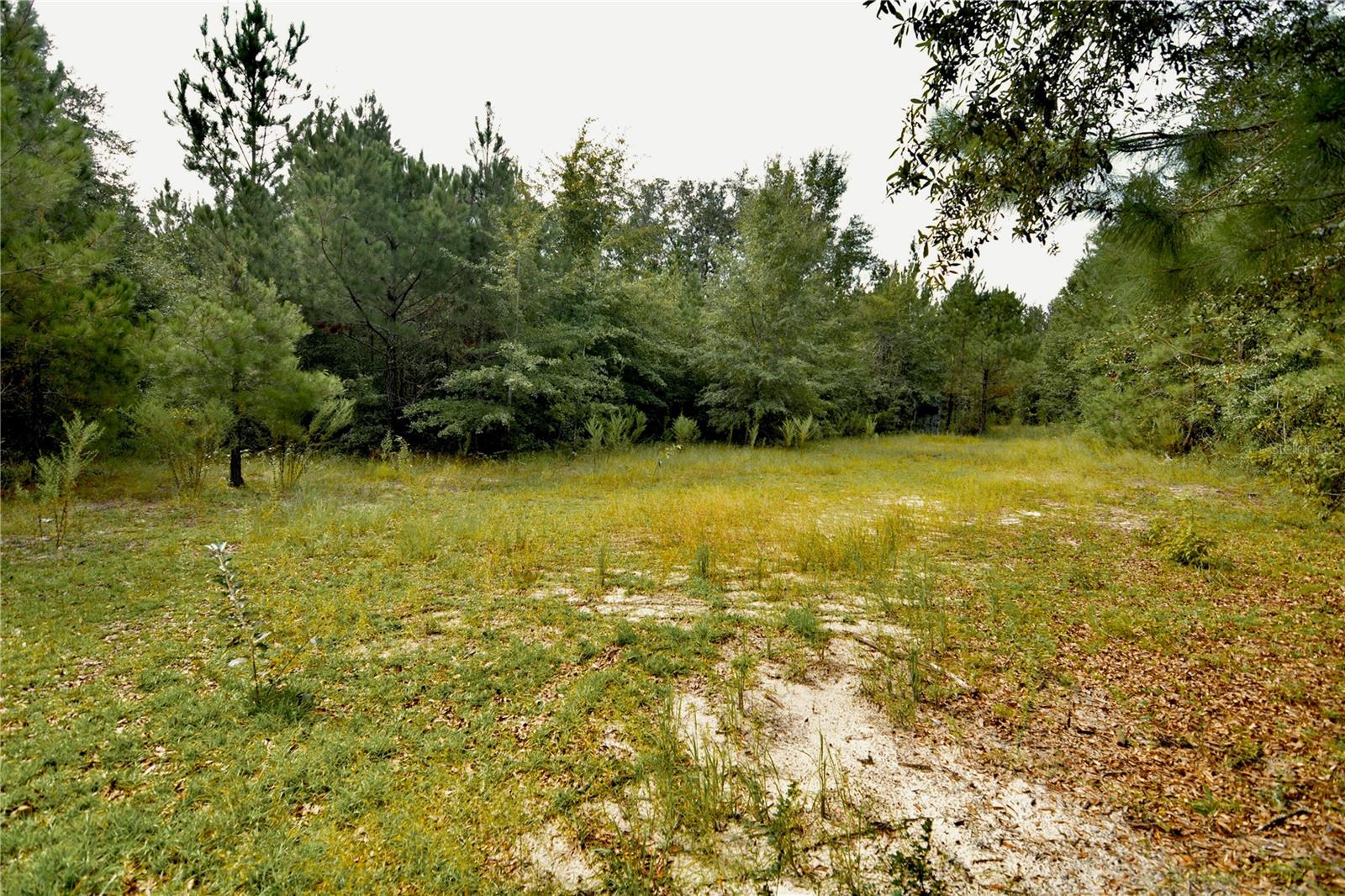 00 Old Federal Rd Property Photo 30